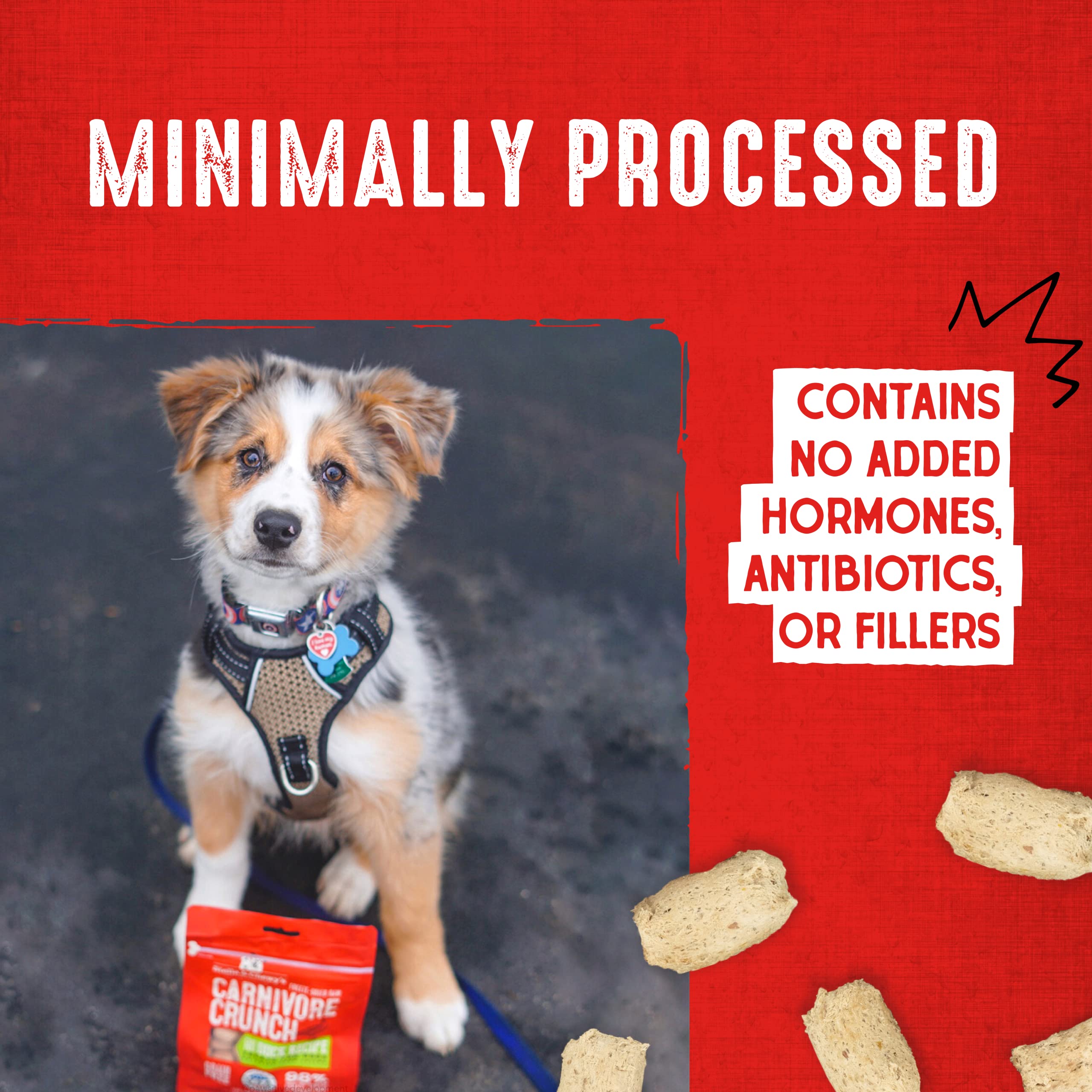 Stella & Chewys Freeze-Dried Raw Dog Treats - Carnivore Crunch for Training - Natural Limited Ingredient, Grain-Free - Perfect