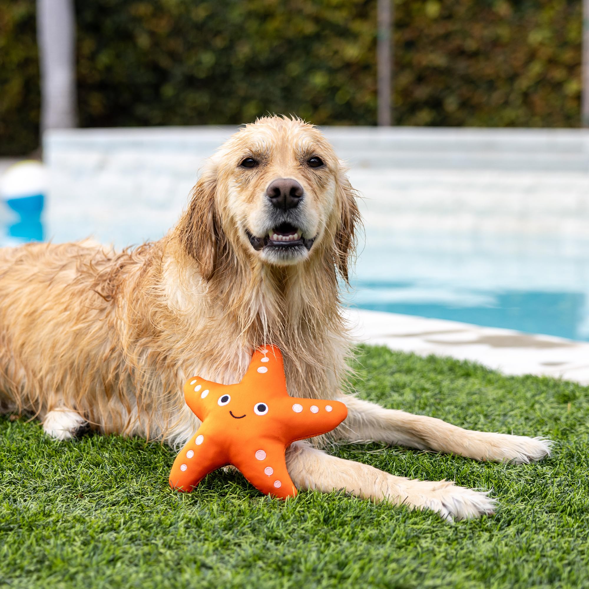 Fringe Studio ''Shelly Floating Dog Toys, Pet Shop Collection (640004)