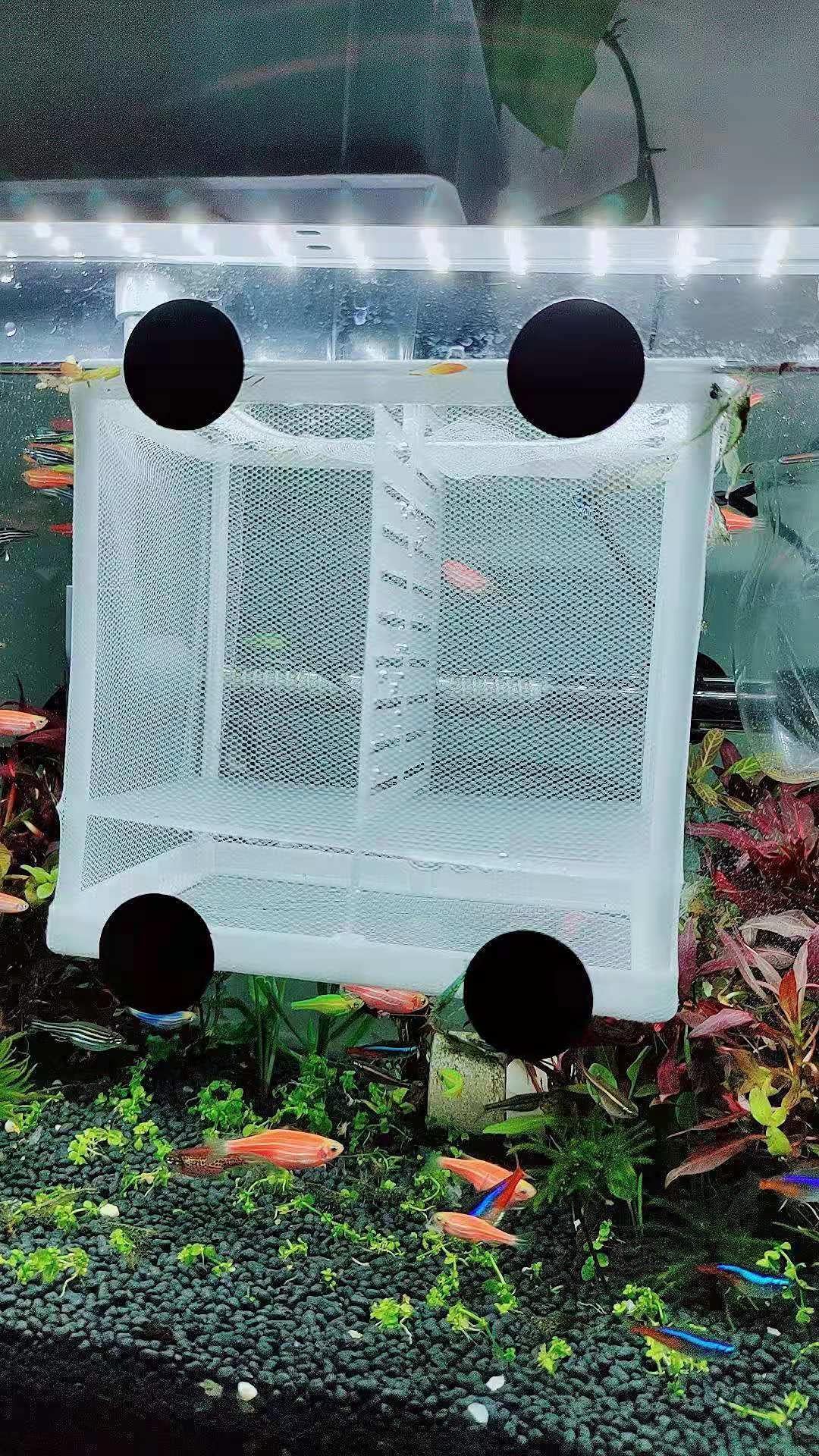 Fish Nursery For Aquarium-Fish,Aquarium Fish Breeder Box, Hatching Box, Juvenile Fish Spawning Incubator, Water Isolation Net Ha