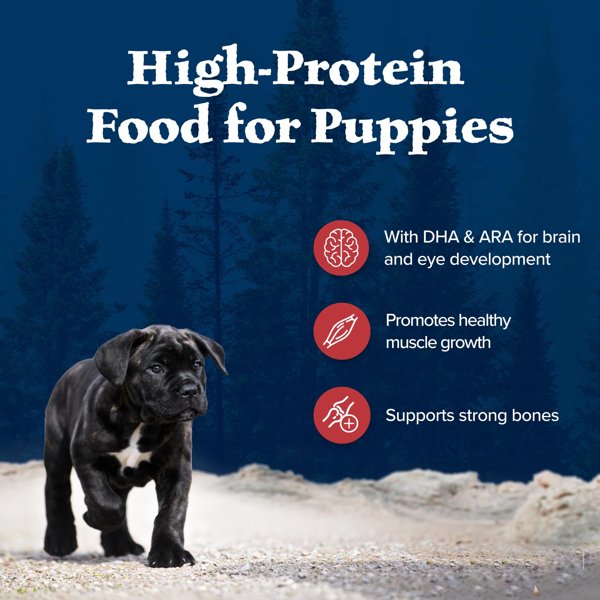 Blue Buffalo Wilderness Rocky Mountain Recipe High-Protein Dry Puppy Food with DHA, Made in the USA with Natural Ingredients Plu