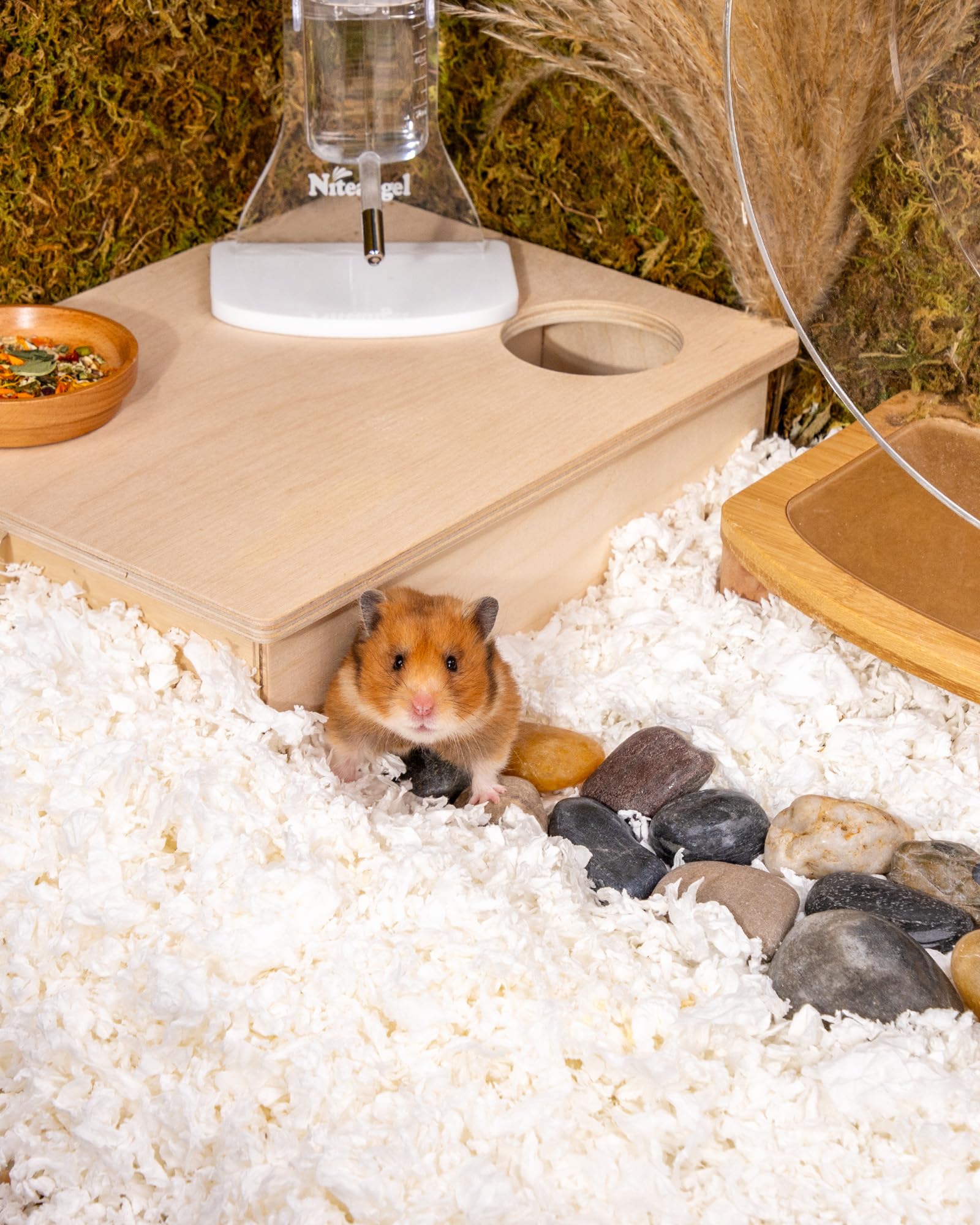 Niteangel Aspen Shaving Hamster Beddings for Syrian Dwarf Hamster Gerbil Mice Degu Rat Rabbit Bunny Guinea Pig Chinchilla Hedgeh