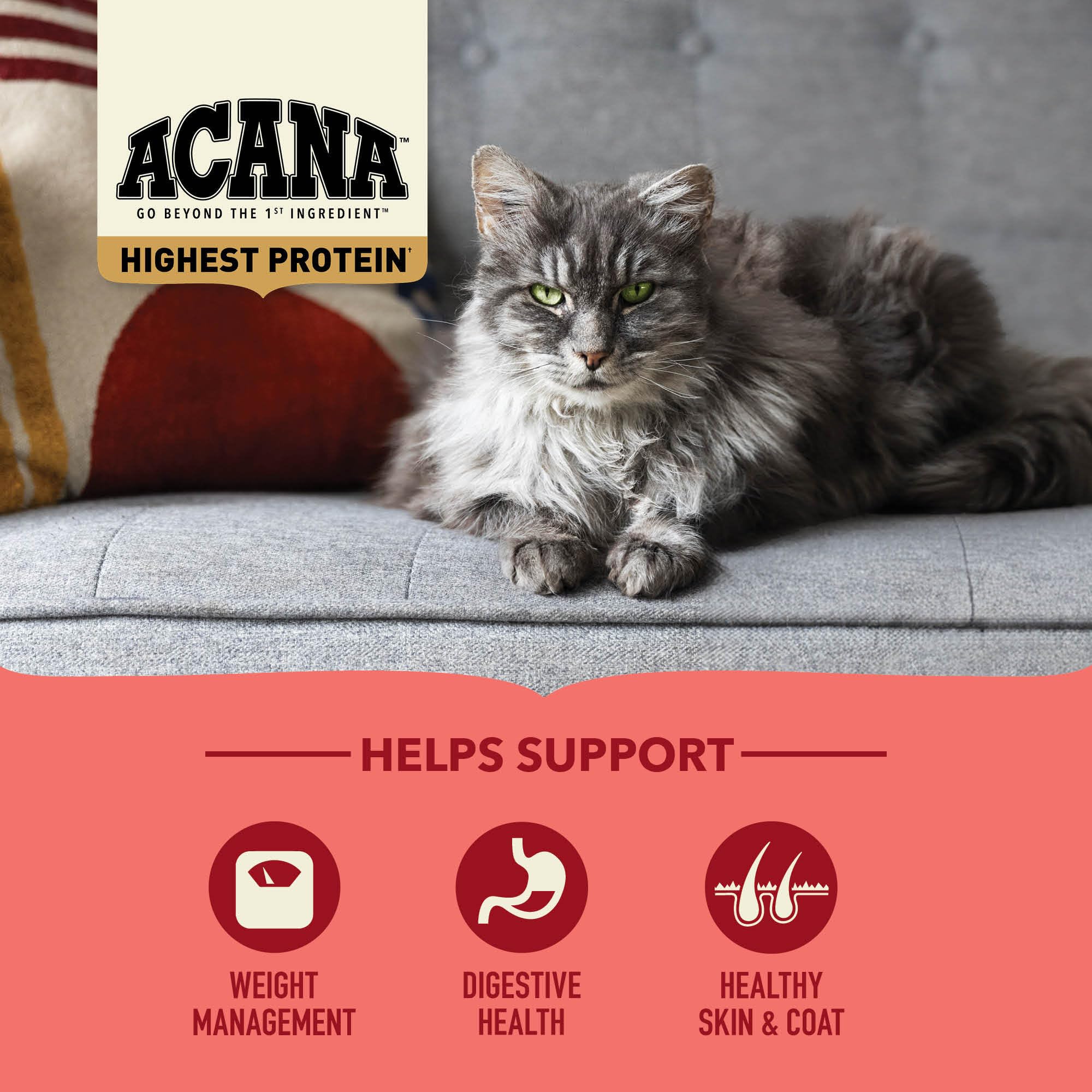 ACANA Indoor Cat 10LB