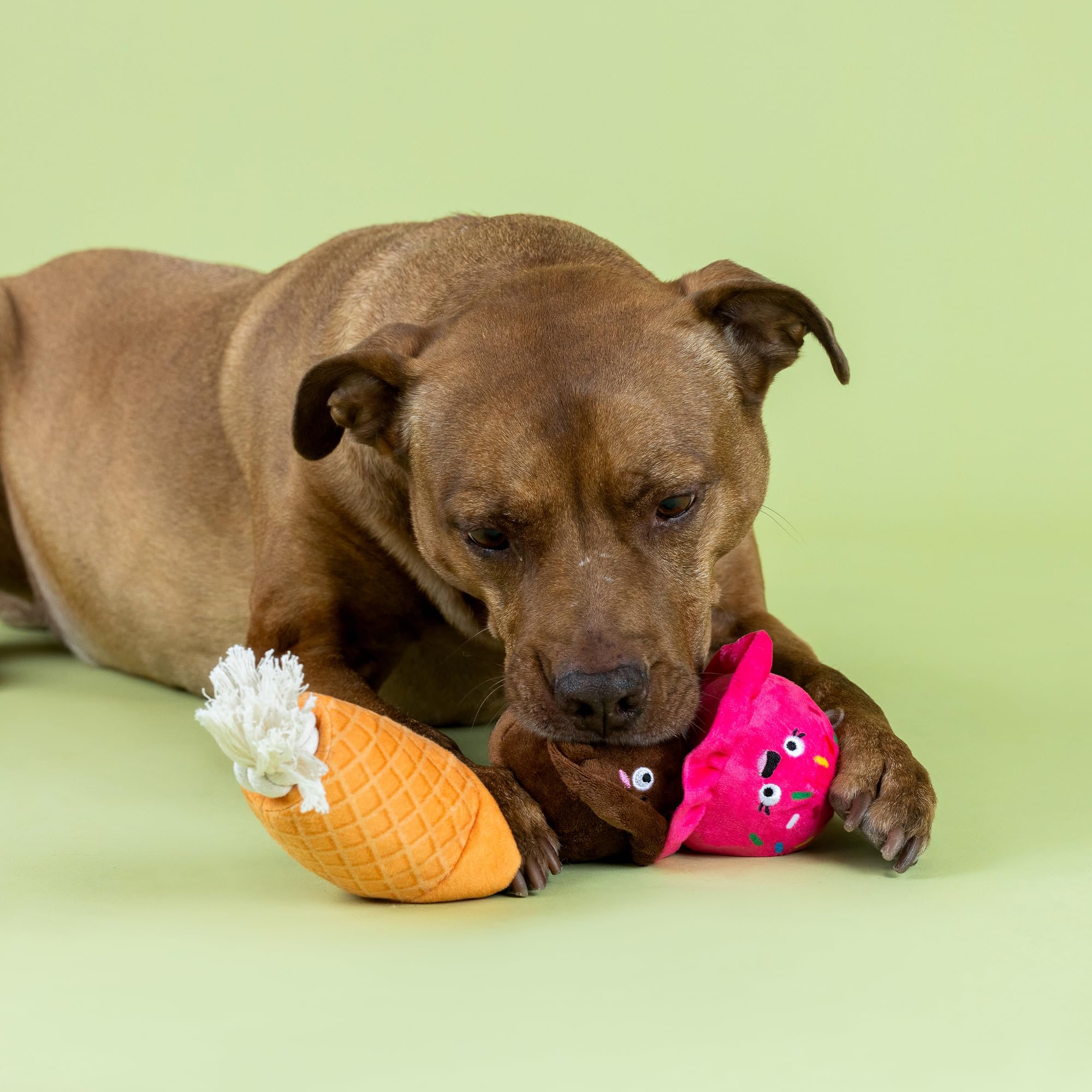 Fringe Studio ''Losing Cone-TROL Plush Dog Toy, Pet Shop Collection (314433)