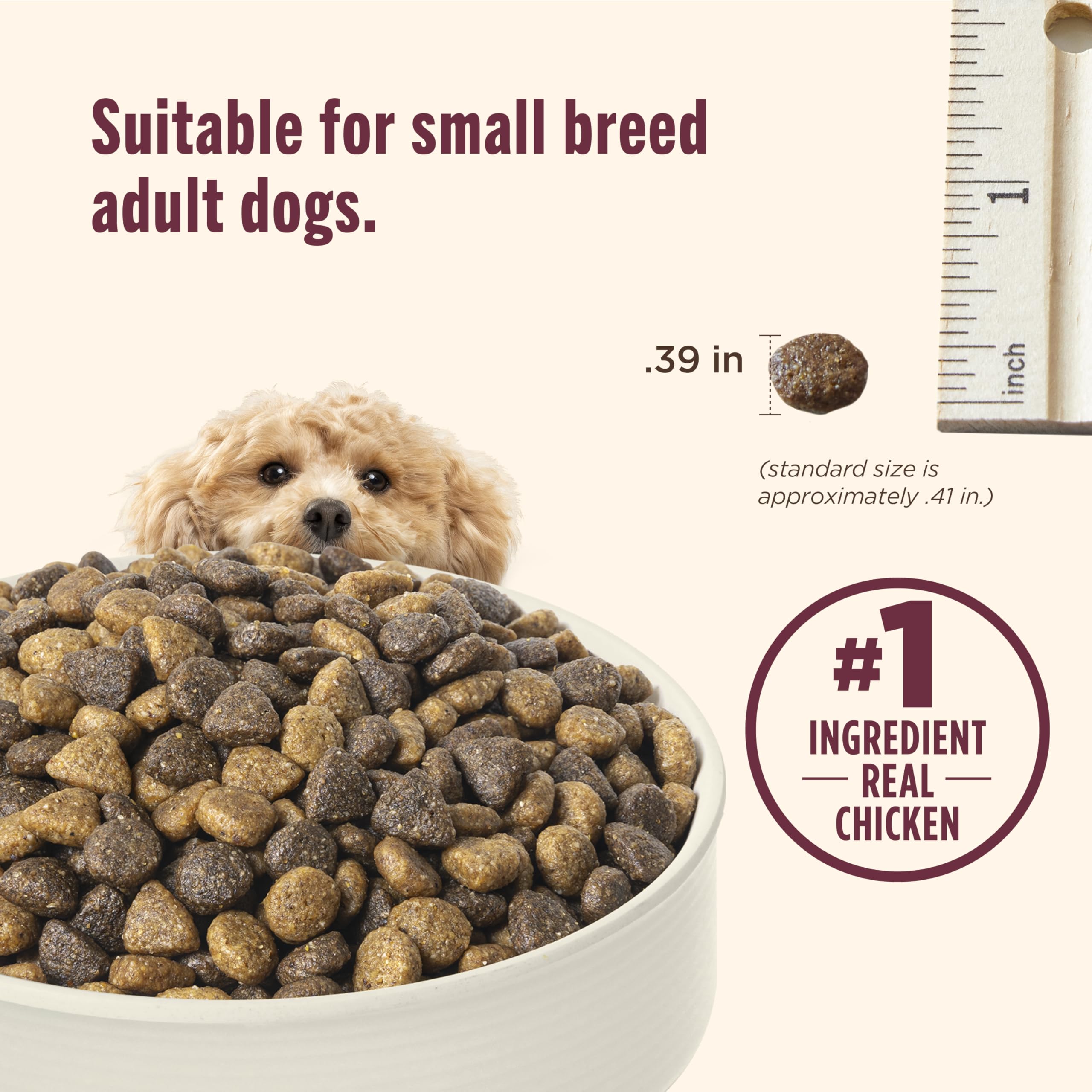 Rachael Ray Nutrish Little Bites Dry Dog Food, Chicken & Veggies Recipe for Small Breeds, 14 Pounds