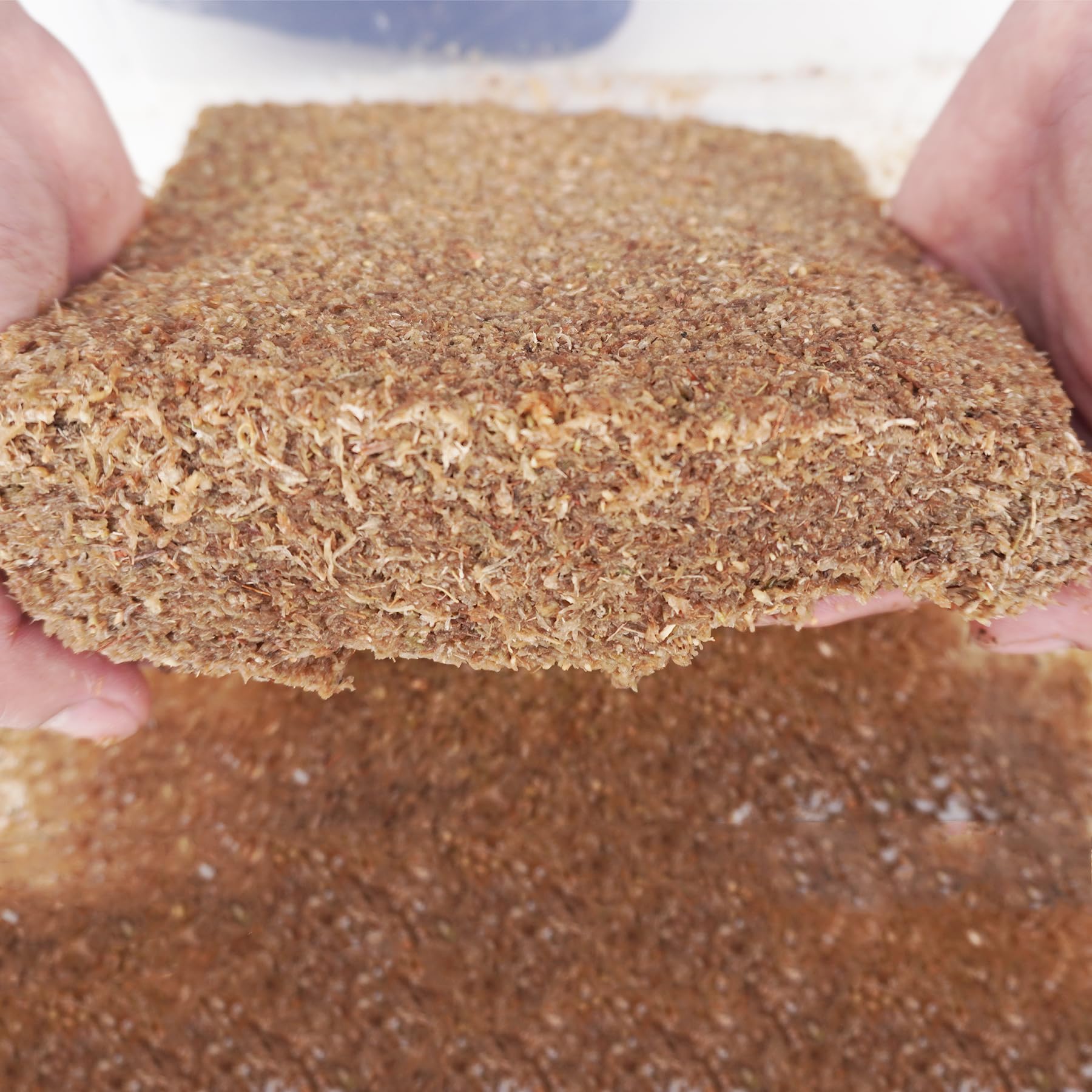 Begeterday Natural Premium Sphagnum Moss Fiber Substrate for Hermit Crab, Ideal Accessories for Hermit Crab Tanks, Great for Mix