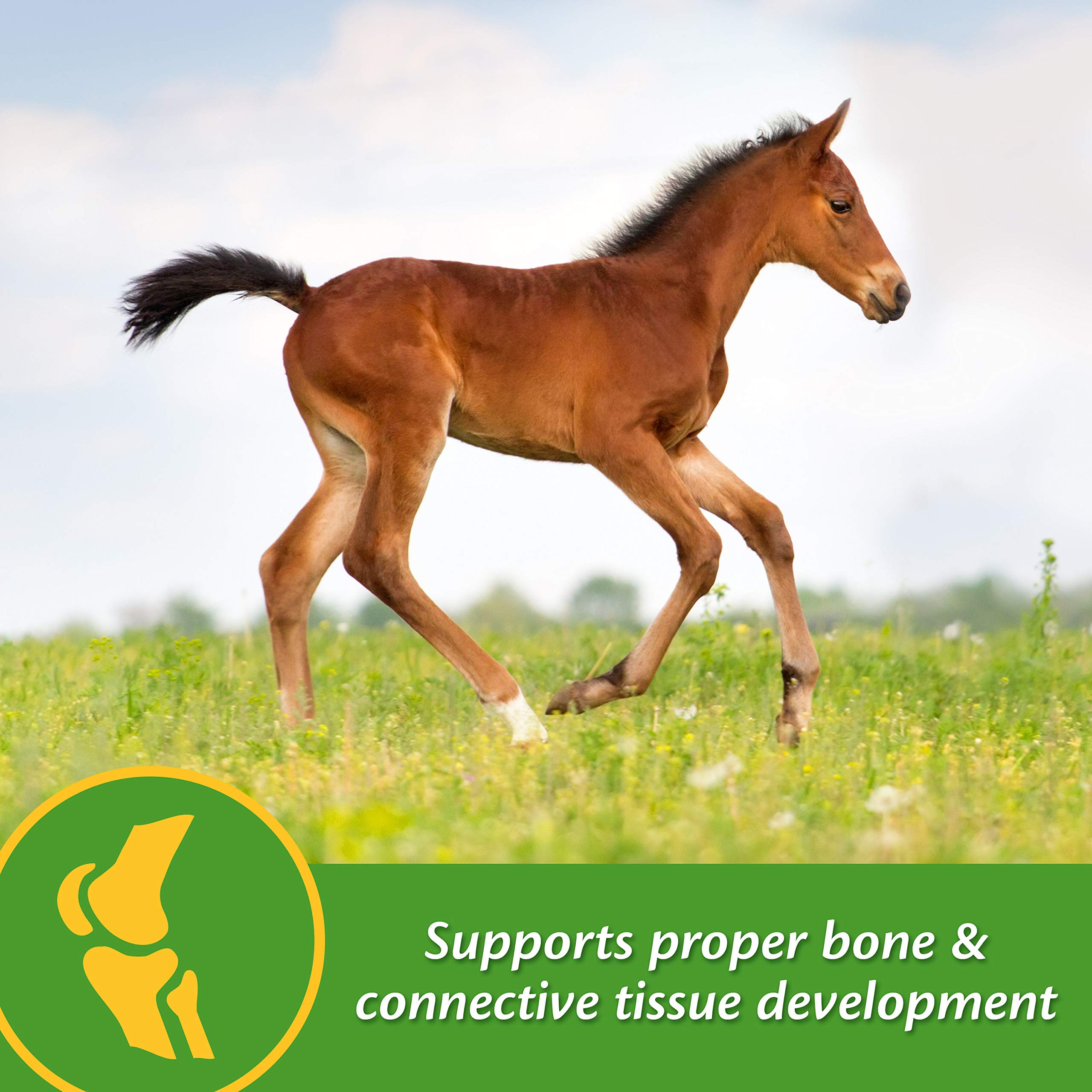 Farnam Grow Colt Supplement for Growth & Development, Supports Normal, consistent Growth in First Years of foals Life, 7.5 lbs.