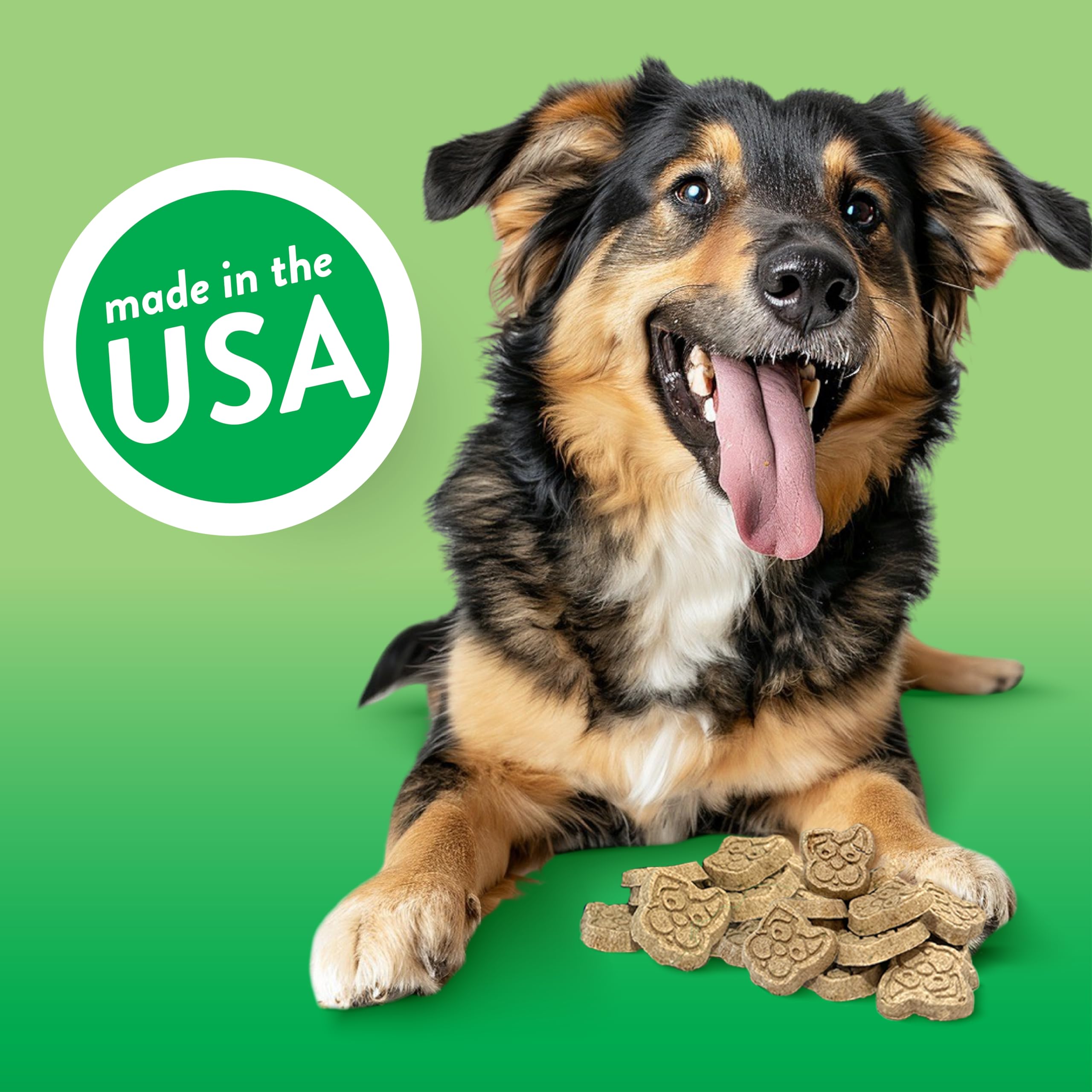 Spunky pup Every Day Biscuit Dog Treats - All-Natural, Handmade in USA, Perfect for Training or Snacking, 4 lb Resealable Bucket