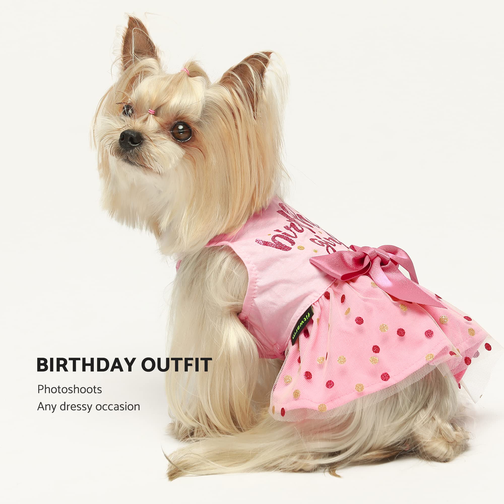 Fitwarm Birthday Girl Dog Tulle Dress, Large, Pink - Cute Apparel for Small Dogs and Cats, Fwbirthadytulledress_L_B0092