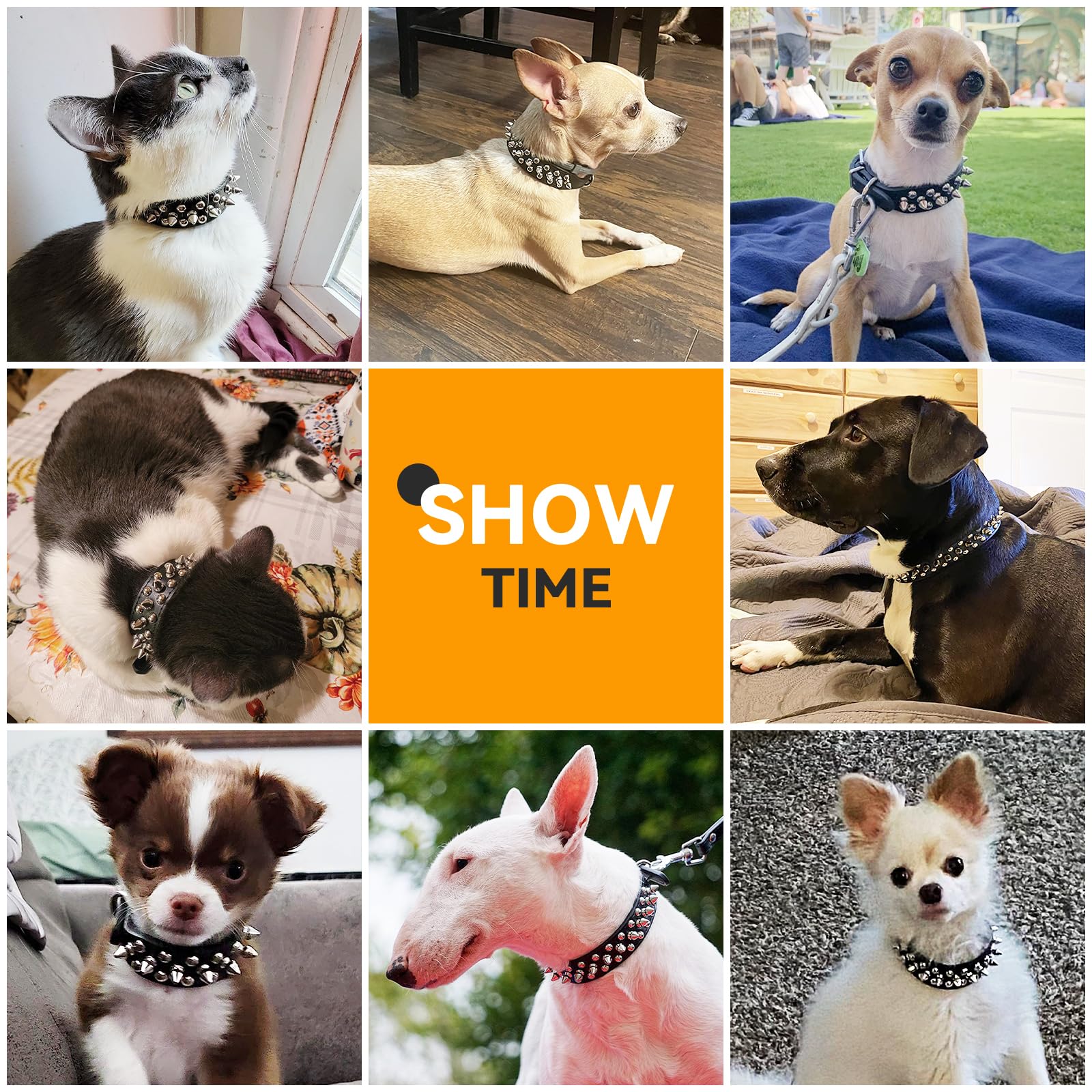 Petcare Spiked Dog Collar Black Soft Pu Leather Funny Mushrooms Rivet Spike Studded Puppy Collar Adjustable Outdoor Pet Dog Collar For Small Medium Large Dogs Cats Chihuahua Pug Pit Bull Dog Collars