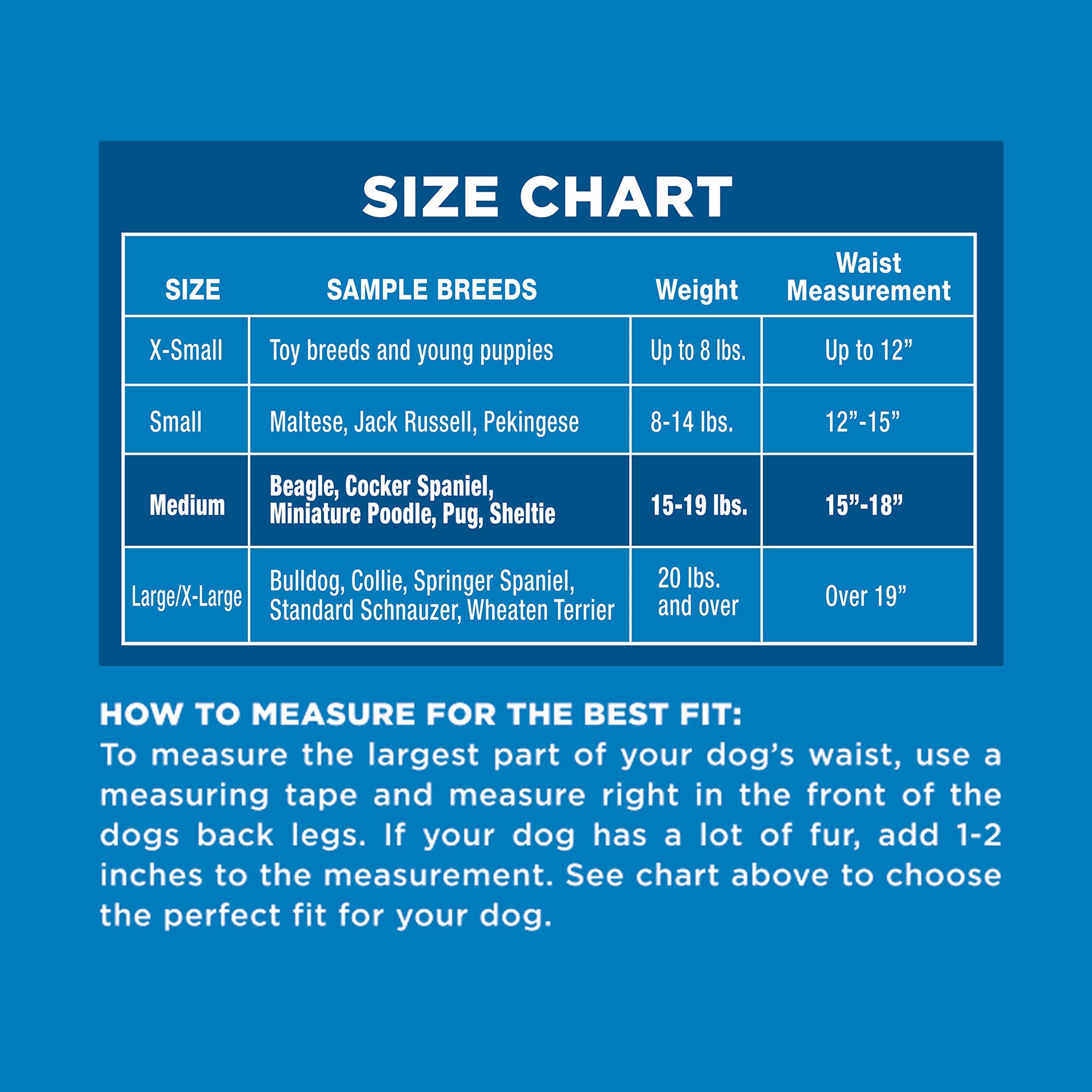 Four Paws Wee-Wee Super Absorbent Disposable Dog Diapers, Medium (12 Count)