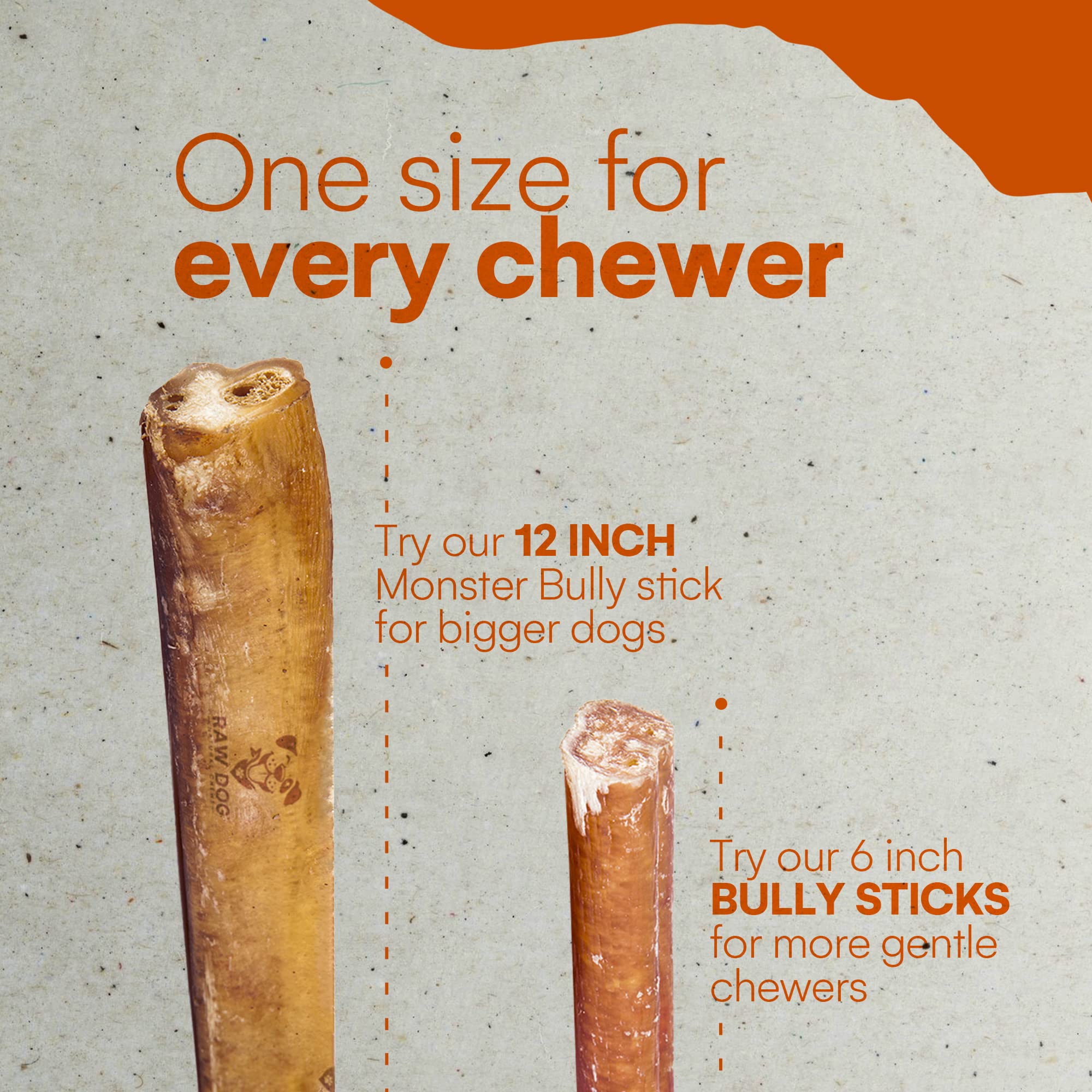 Raw Dog Bully Sticks All-Natural Dog Treats,12 in Regular Size, 3pk - Premium Odor Free Dog Chews, 100% Beef, Grass Fed, Non-GMO