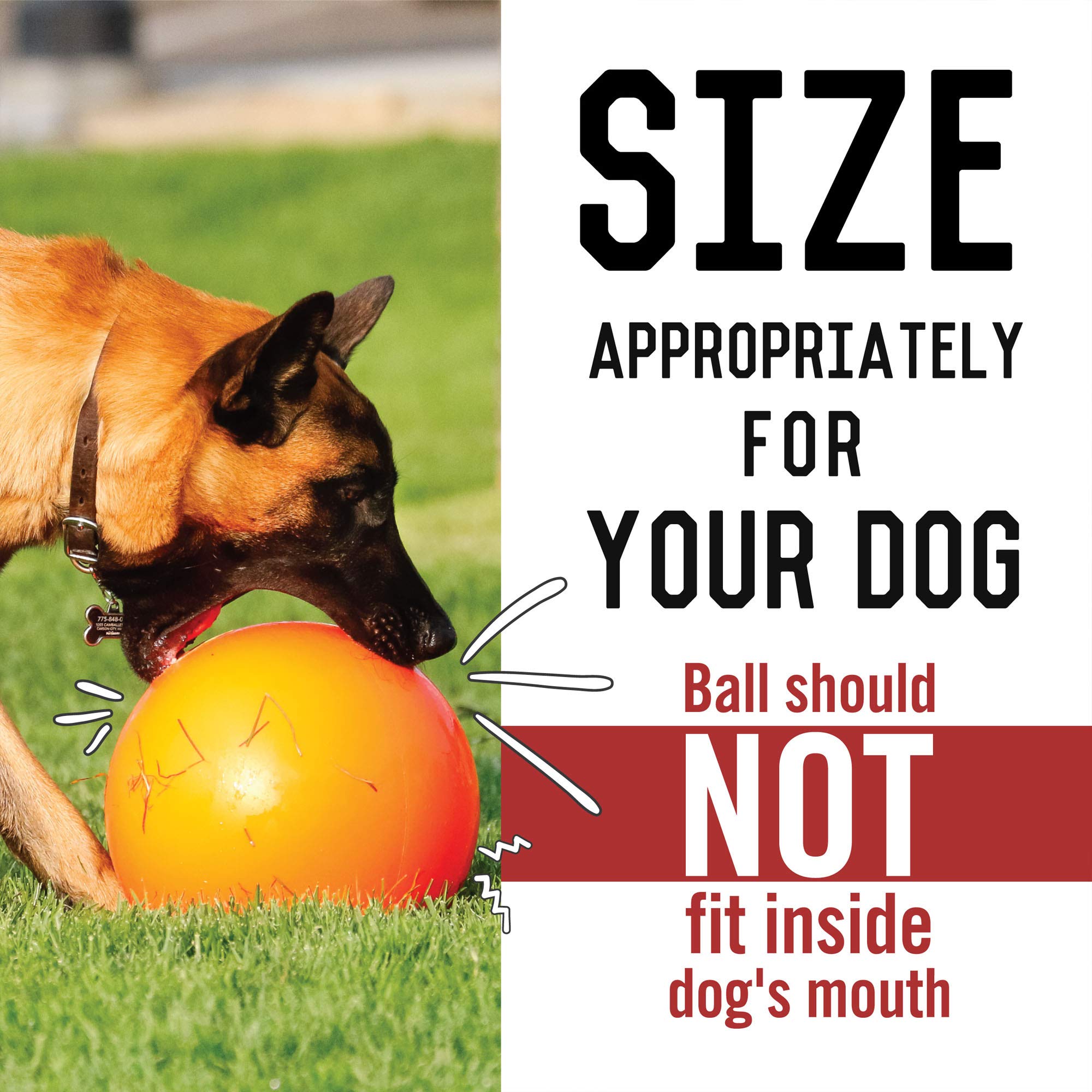 Virtually Indestructible Best Ball For Dogs, 10-Inch