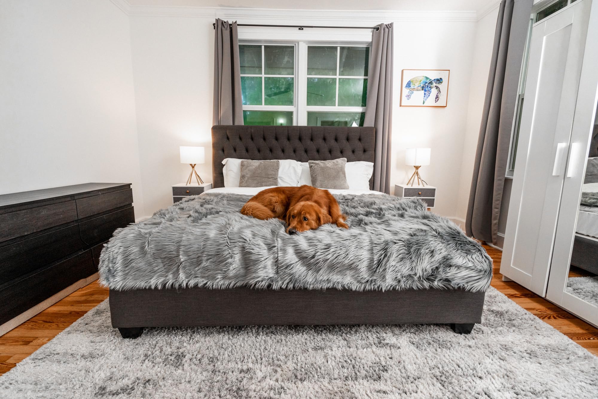 Pupprotector Waterproof Throw Blanket For Dogs And Cats, Pet Blanket Cover For Couches, Sofas, Beds, Car Seats, Furniture, Calming Soft Faux Fur, Charcoal Grey, Large (80' L X 62' W)