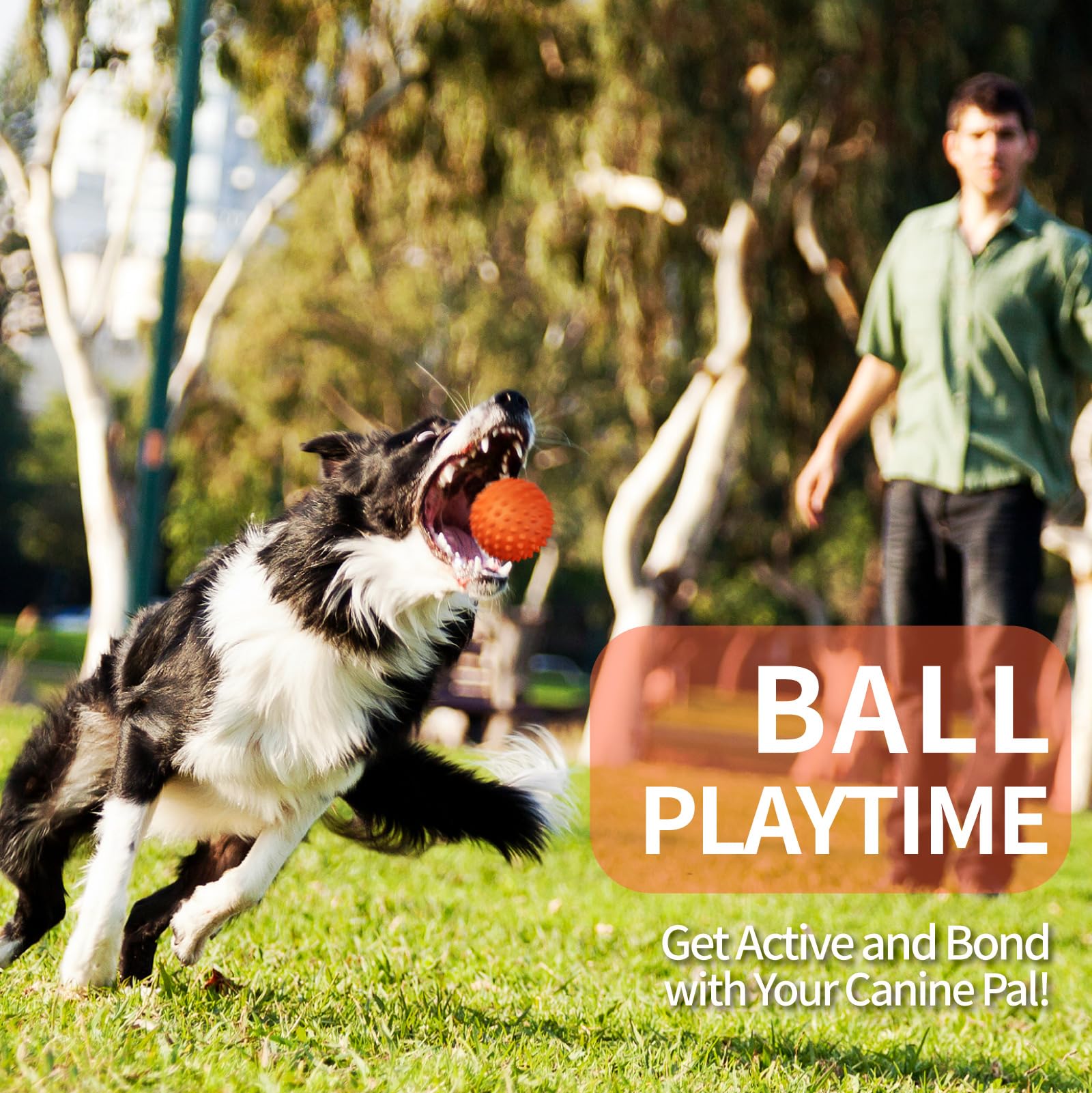 Apasiri Dog Balls for Aggressive Chewers, Natural Rubber, Squeaky, Floatable, Large Breed, 2 Pack, Medium & Large