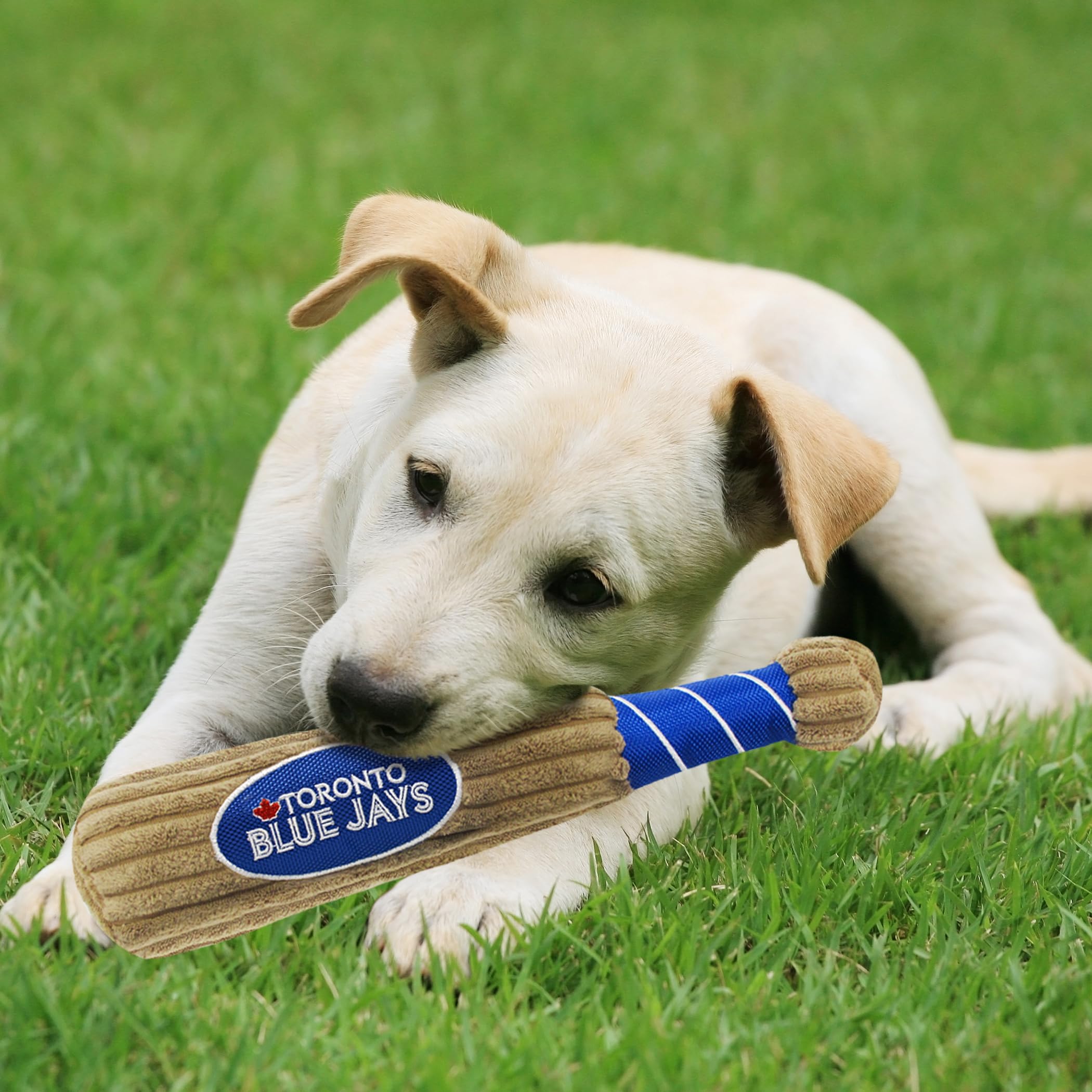 Mlb Toronto Blue Jays Baseball Bat Toy For Dogs & Cats. Soft Corduroy Plush Dog Toy With Inner Squeaker, Mlb Chew Toys For Dogs