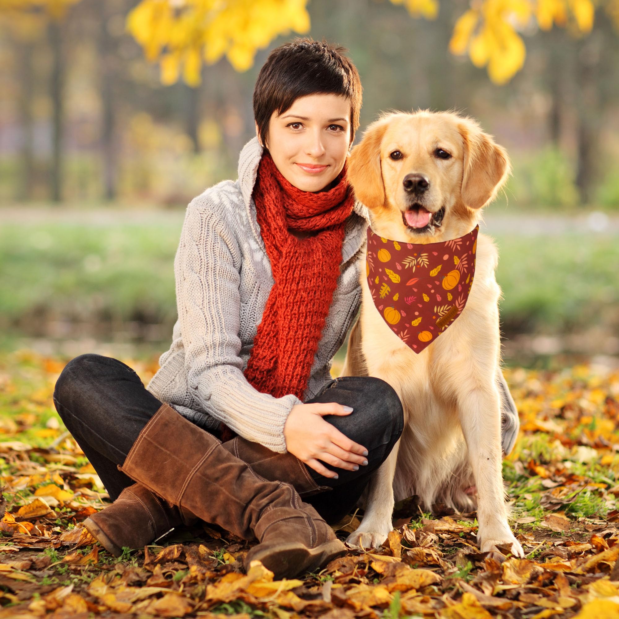 Adoggygo Thanksgiving Dog Bandana, Pumpkin Turkey Pet Scarf, Multi Size Offered, Fall Autumn Leaves Thanksgiving Bandanas For Ex