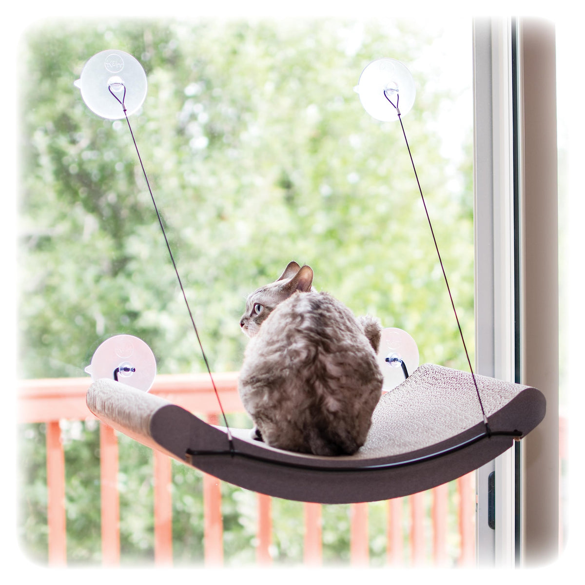 K&H Pet Products EZ Mount Cat Window Perch Kitty Sill Scratcher Cradle, Sturdy Window Perch for Large Cats, Steel Frame Scratche