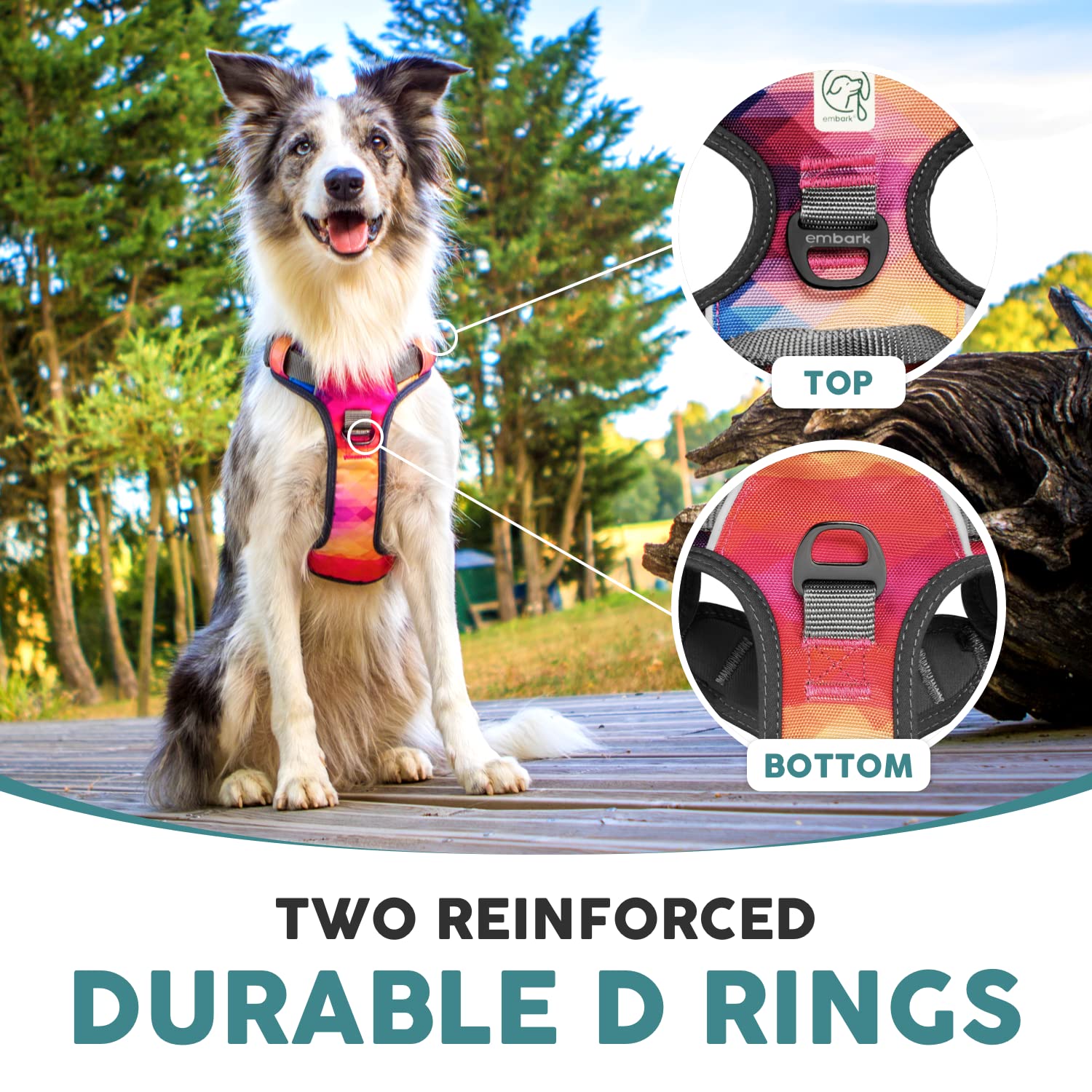 Embark Urban Dog Harness No-Pull Dog Harness For Small Dogs, Medium & Large. 2 Leash Clips, Front & Back With Control Handle, Adjustable Black Dog Vest For Any Breed, Soft & Padded For Comfort