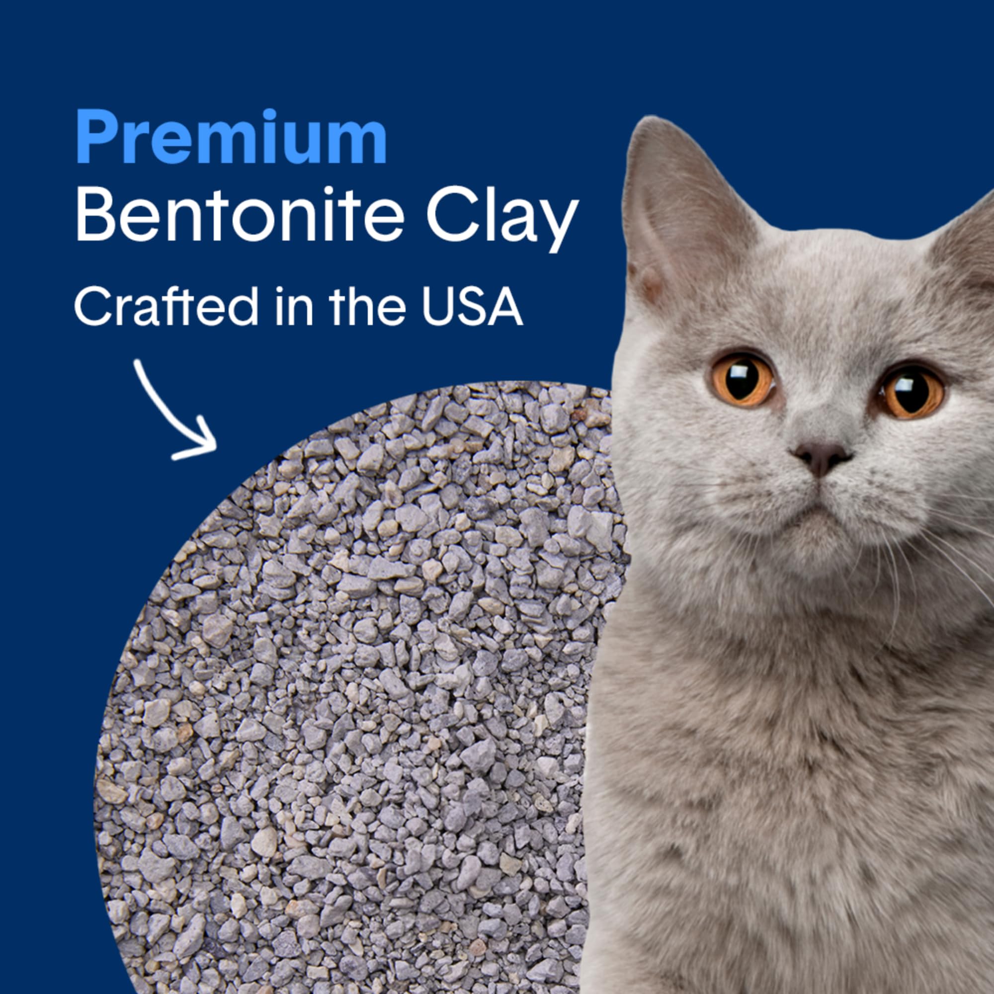 BoxiePro Clumping Cat Litter, 30 Day Odor Control, 99.9% Dust-Free, 40 lb, Blue, Model 167, Clay Material