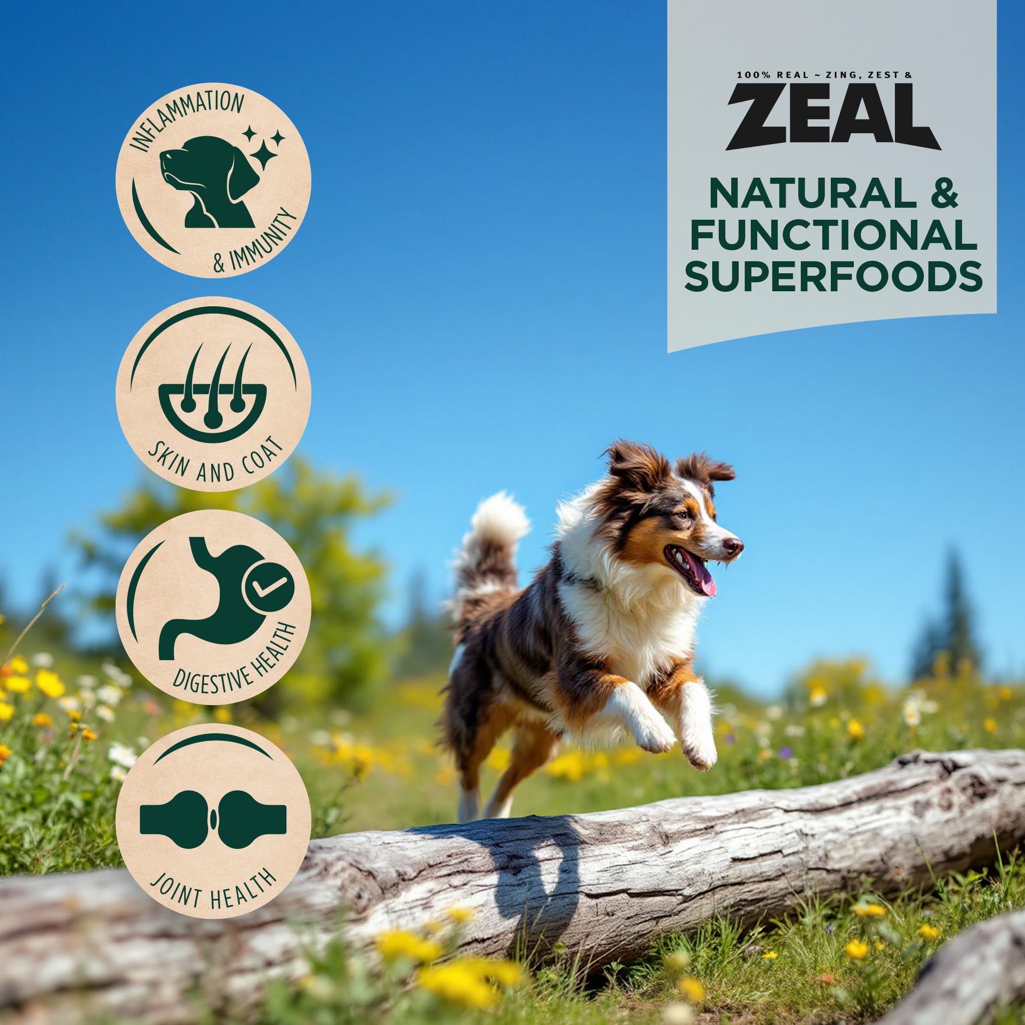 ZEAL Air-Dried Salmon & Duck Dog Food - Grain Free, Omega-3 Rich, 1 lb