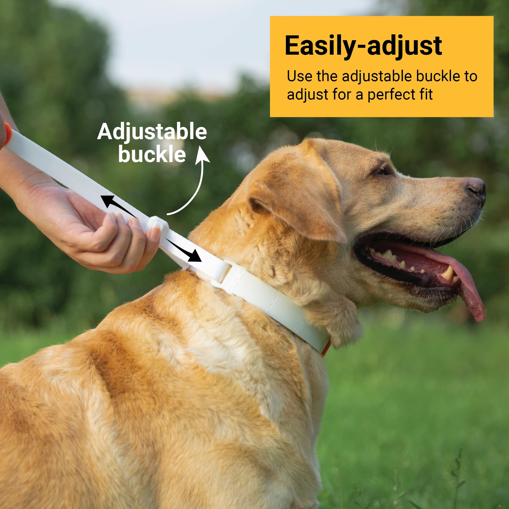 Svd.Pet Dog Prong Collar For No-Pull Training, Quick-Release Buckle Adjustable Pinch Collar For Small Medium Large Dogs (White,