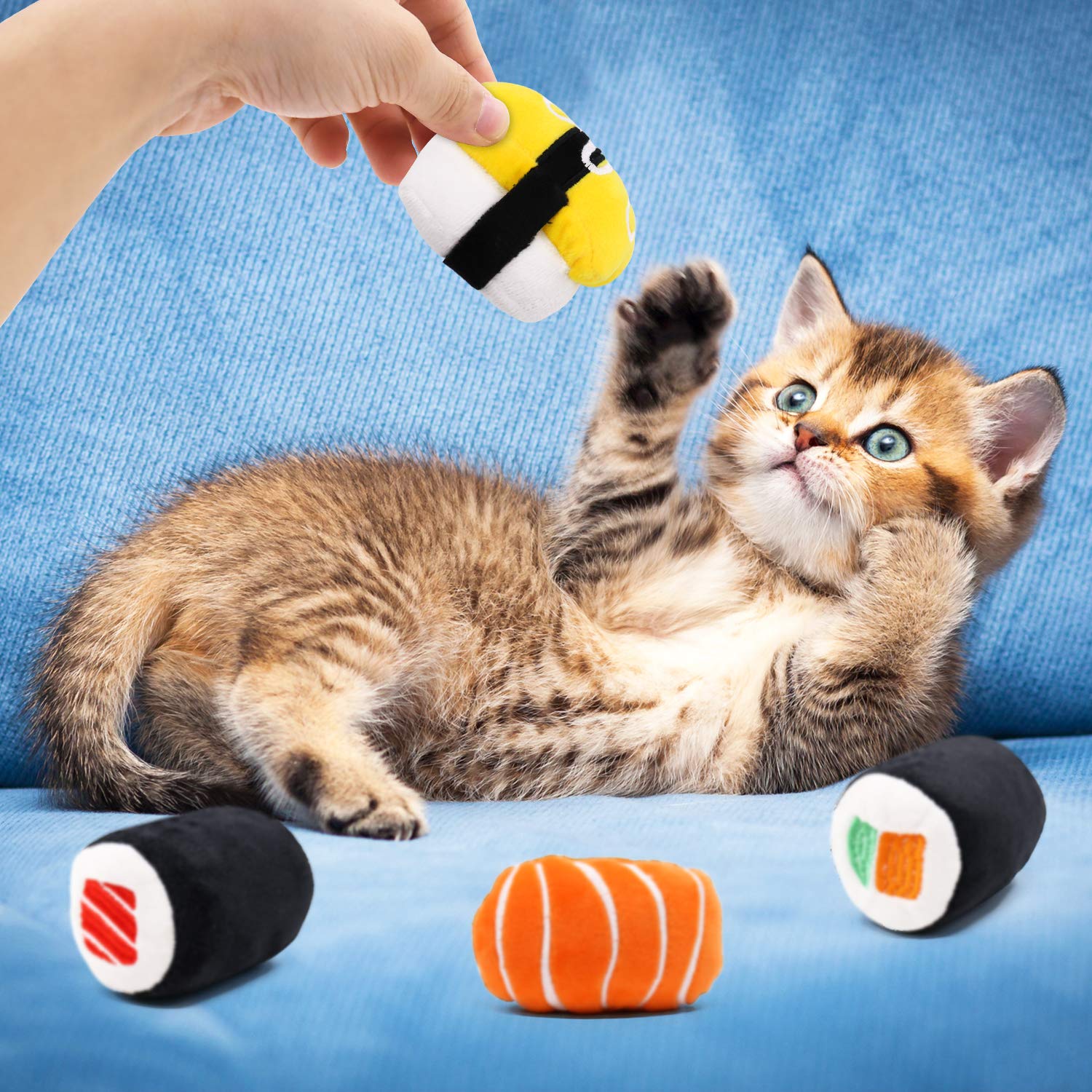 CiyvoLyeen 6 Pack Sushi Cat Toys with Catnip Sushi Roll Pillow Kitten Chew Bite Supplies Boredom Relief Fluffy Kitty Teeth Clean
