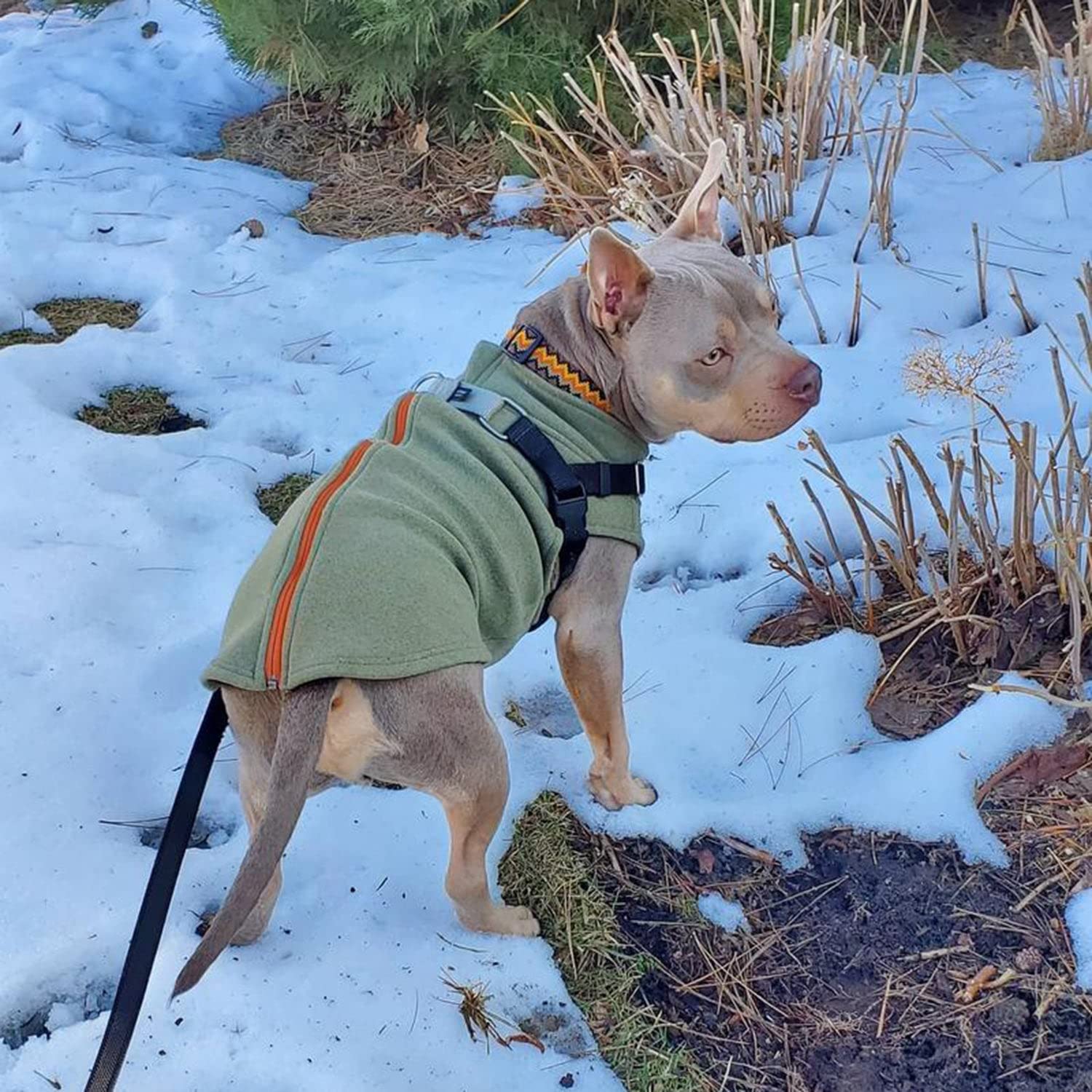 Gooby Zip Up Microfiber Fleece Dog Sweater - Green, Small - Warm Double Layered Soft Microfiber Fleece Step-In Dog Jacket Without Ring Leash - Winter Dog Sweaters For Small Dogs And Medium Dogs