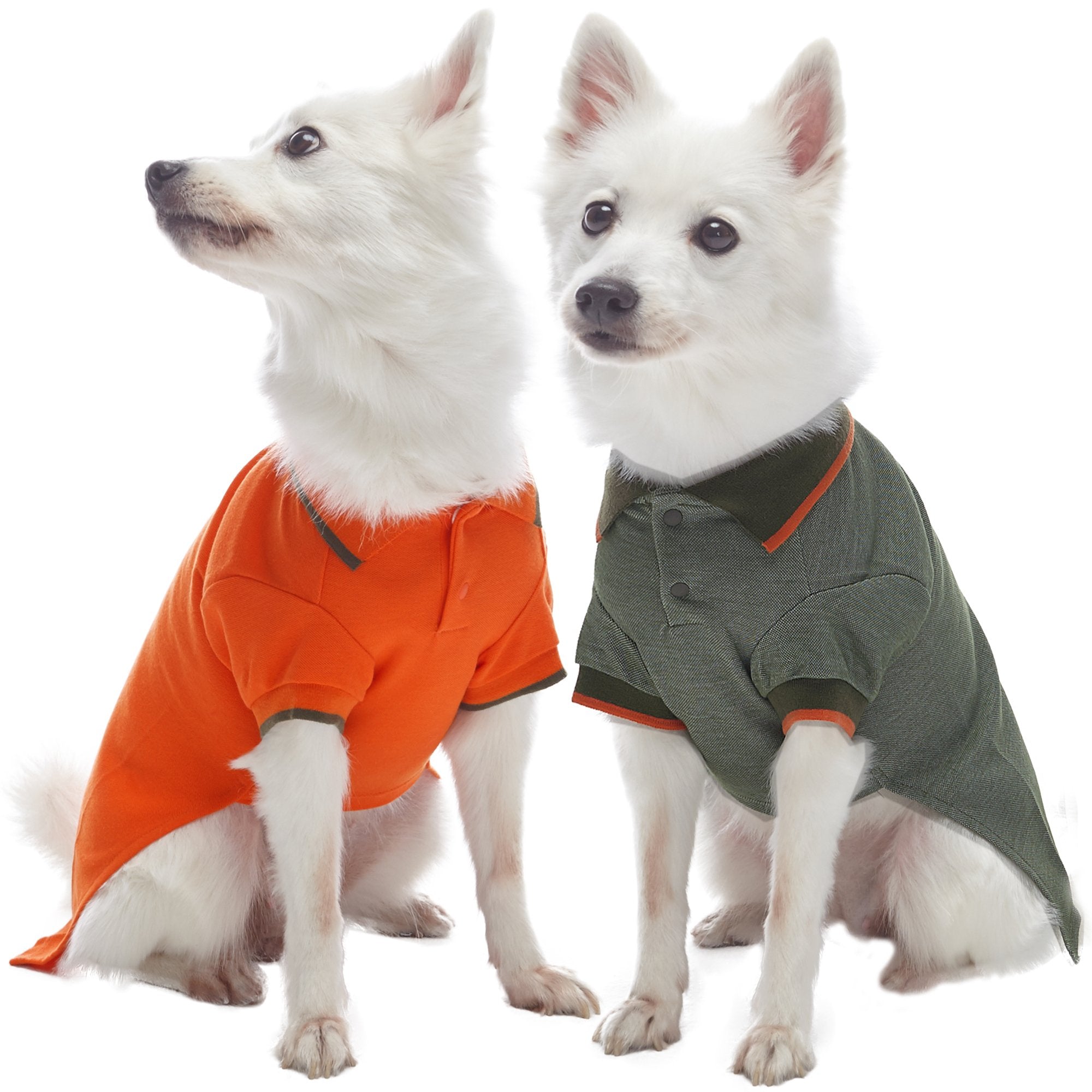 Blueberry Pet Back to School 2-Pack Prep School Style Dog Polo Shirts | Cotton Outfit for Small Pets in Orange + Olive Green, Ba
