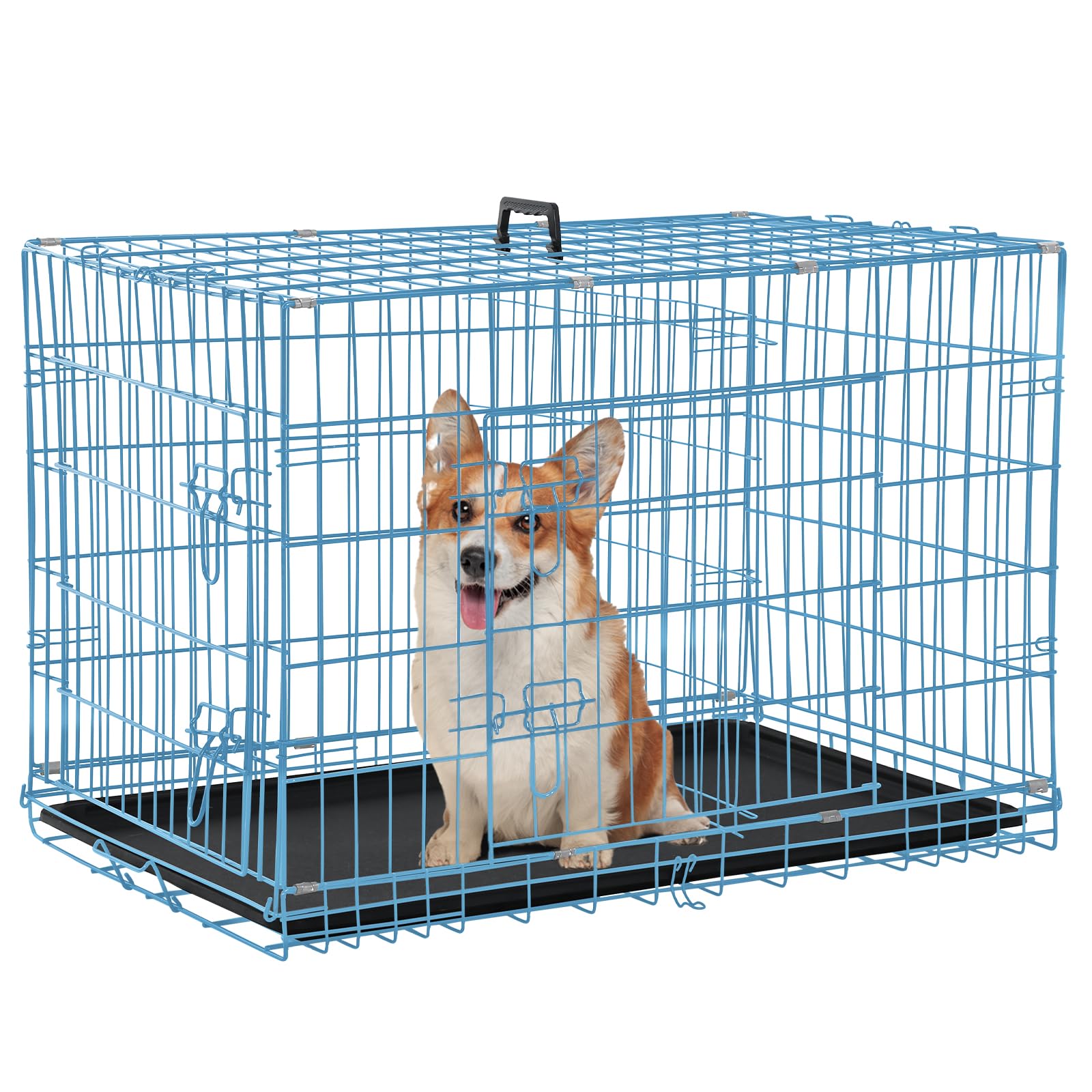 Folding Dog Crate 36'' Metal Portable Outdoor Double Door Wire Large Cat Pet Dog Cage Kennel With Abs Tray Lc & Divider, Blue