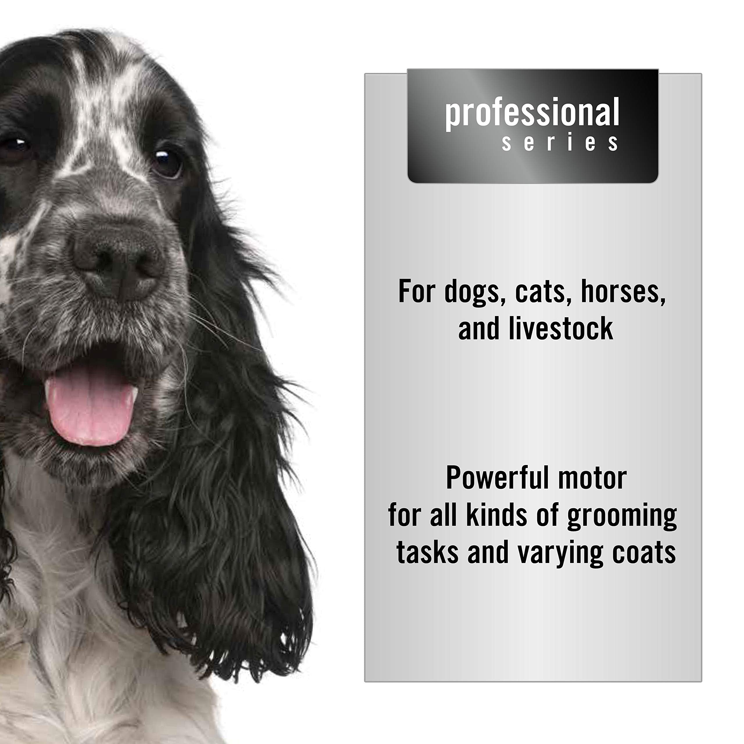 Oster A5 Hair Clippers For Dog, Cat, And Pet Grooming With 2 Speed Settings And Detachable Blade, Blue, 6.00 X 10.50 X 3.00 Inch