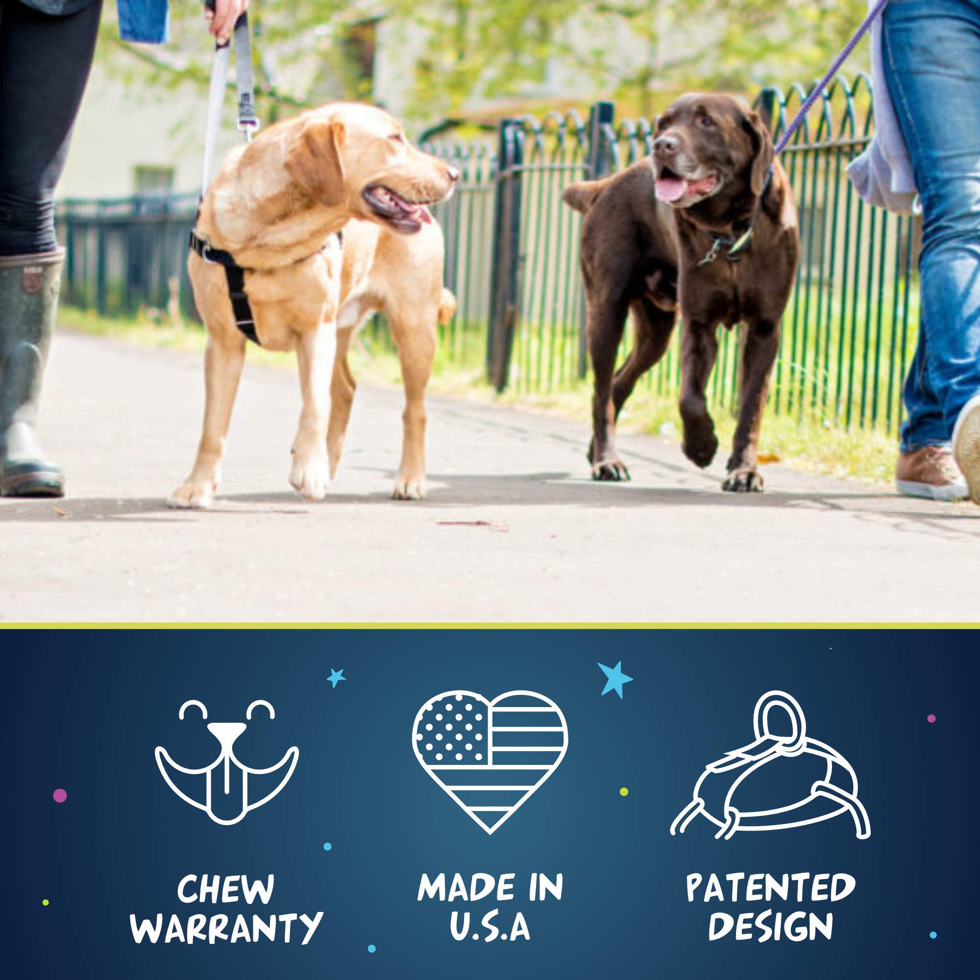 2 Hounds Design Freedom No Pull Dog Harness With Leash, Adjustable Gentle Comfortable Control For Easy Dog Walking, For Small Me