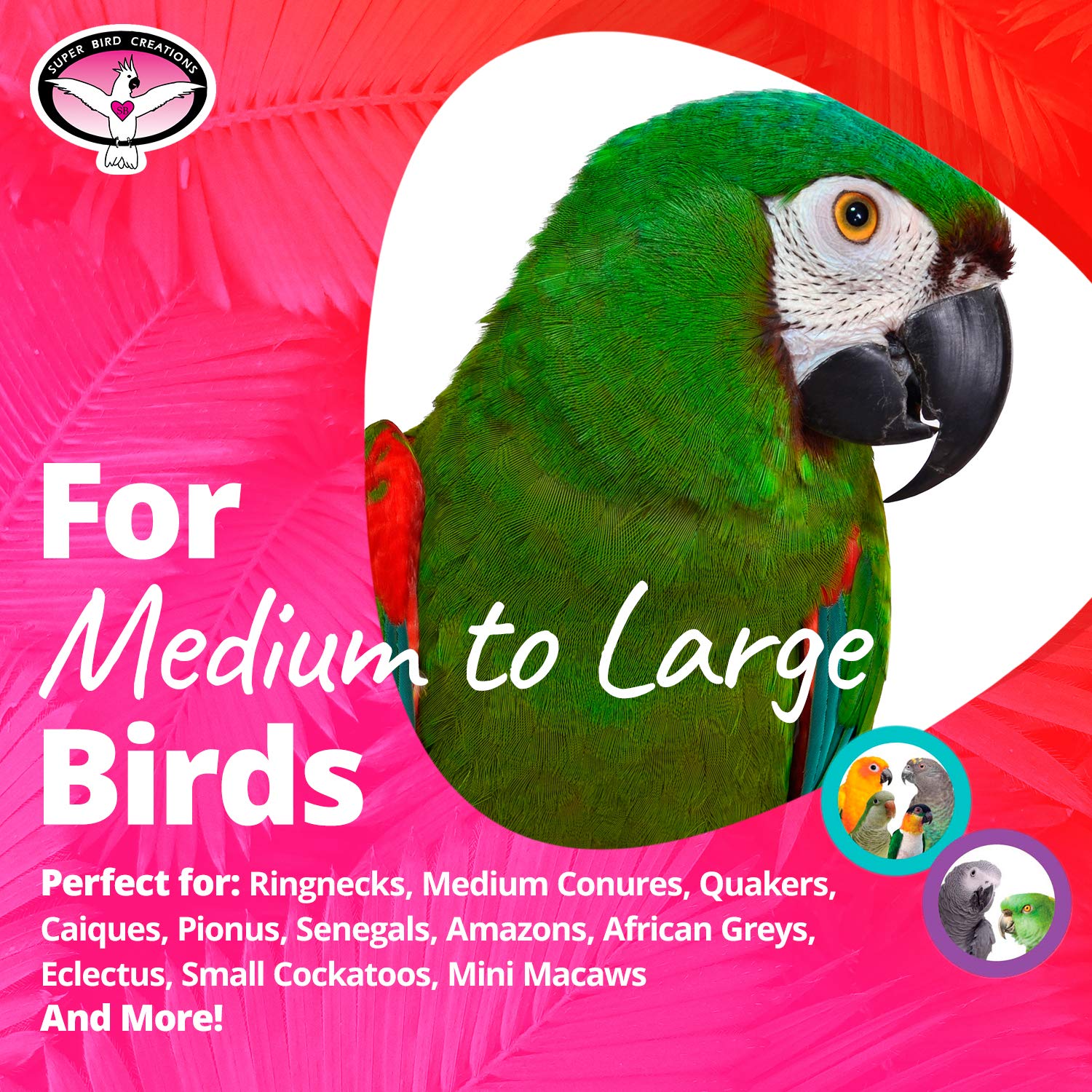 Super Bird Creations Sb1054 Maraca Rattle Bird Foot Toy, Medium/Large Bird Foot Toy, 6' X 2.5'