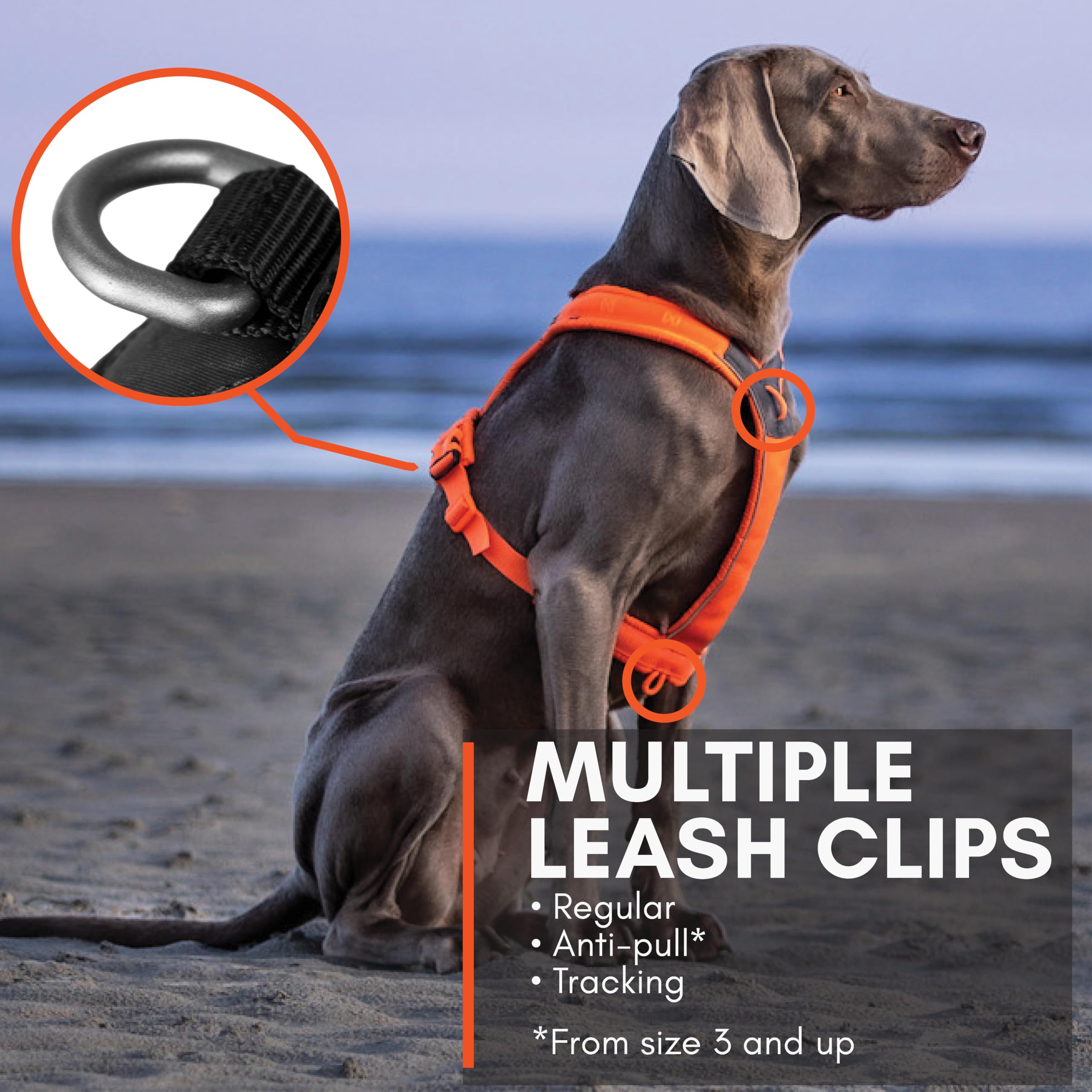 Non-Stop Dogwear Line Harness 5.0, Padded Dog Harness For Large Dogs, Made For Hiking, Sport And Everyday Active Life With 3 Lea