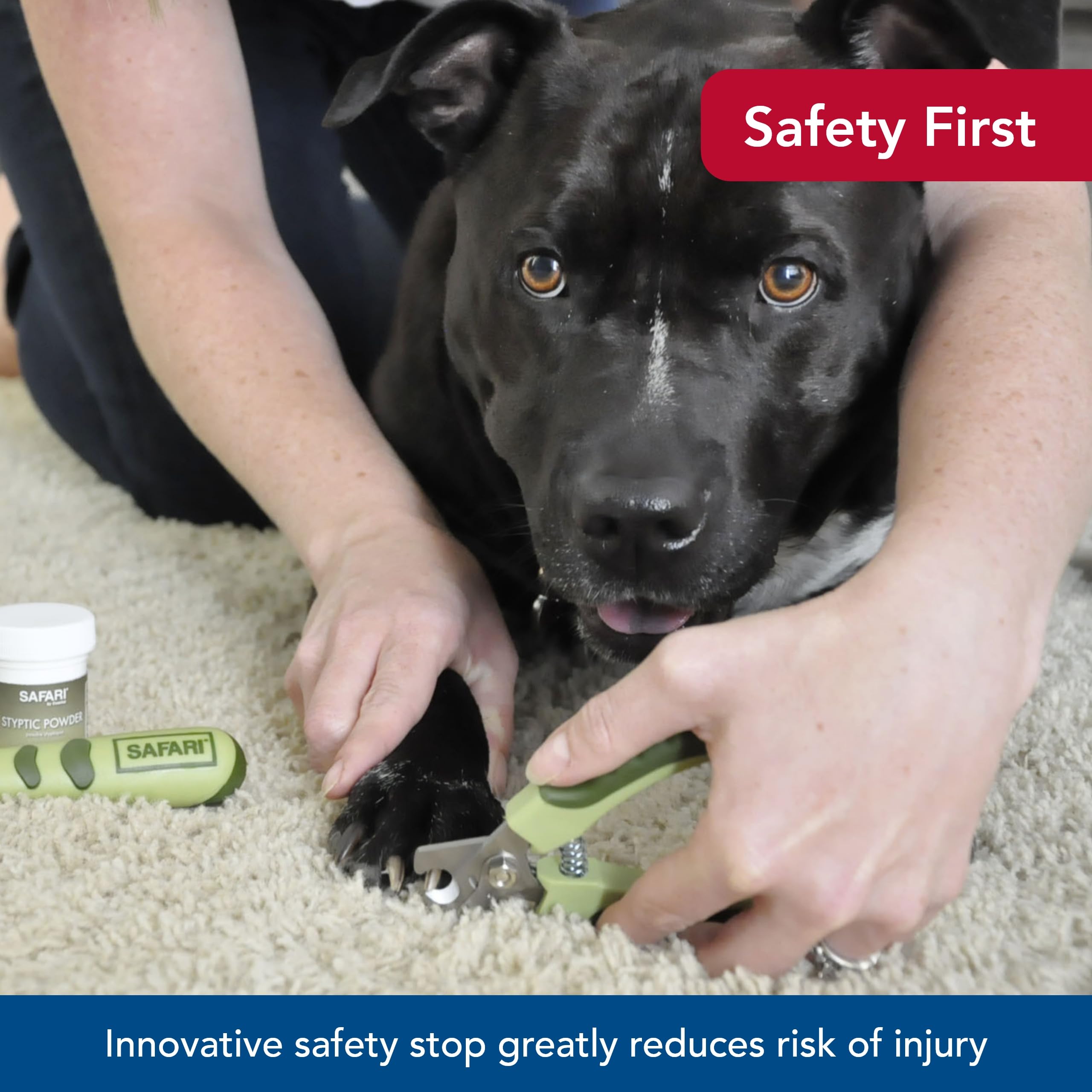 Coastal Pet Safari Professional Dog Nail Trimmer - Nail Clippers & Supplies For Grooming - Dog Claw Care For Small & Large Pets - Large, 6.6' X 2'