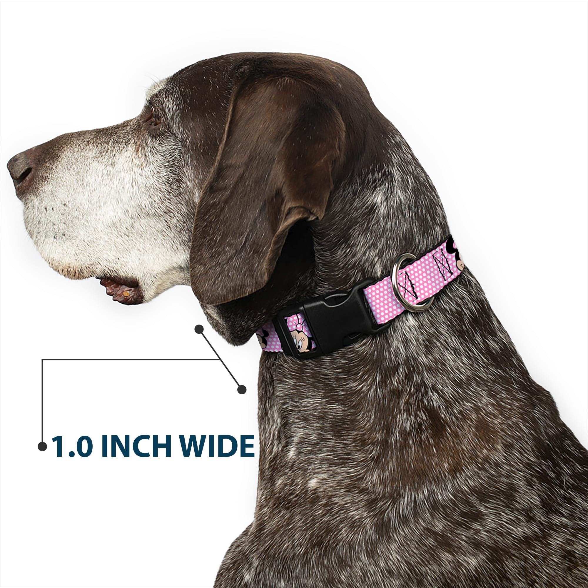 Buckle-Down Plastic Clip Collar - Minnie Mouse Expressions Polka Dot Pink/White - 1/2 Wide - Fits 9-15 Neck - Large