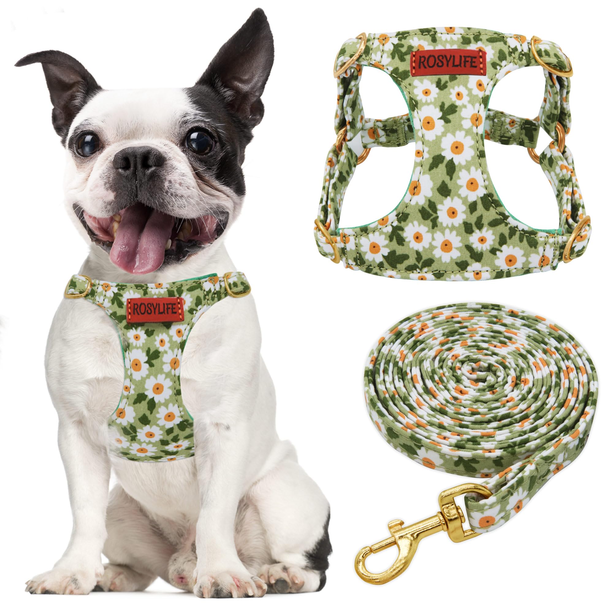 No Pull Dog Harness Adjustable Small Dog Harness And Leash Set, Lightweight And Soft Pet Harness No Choke Escape Proof Pet Harne