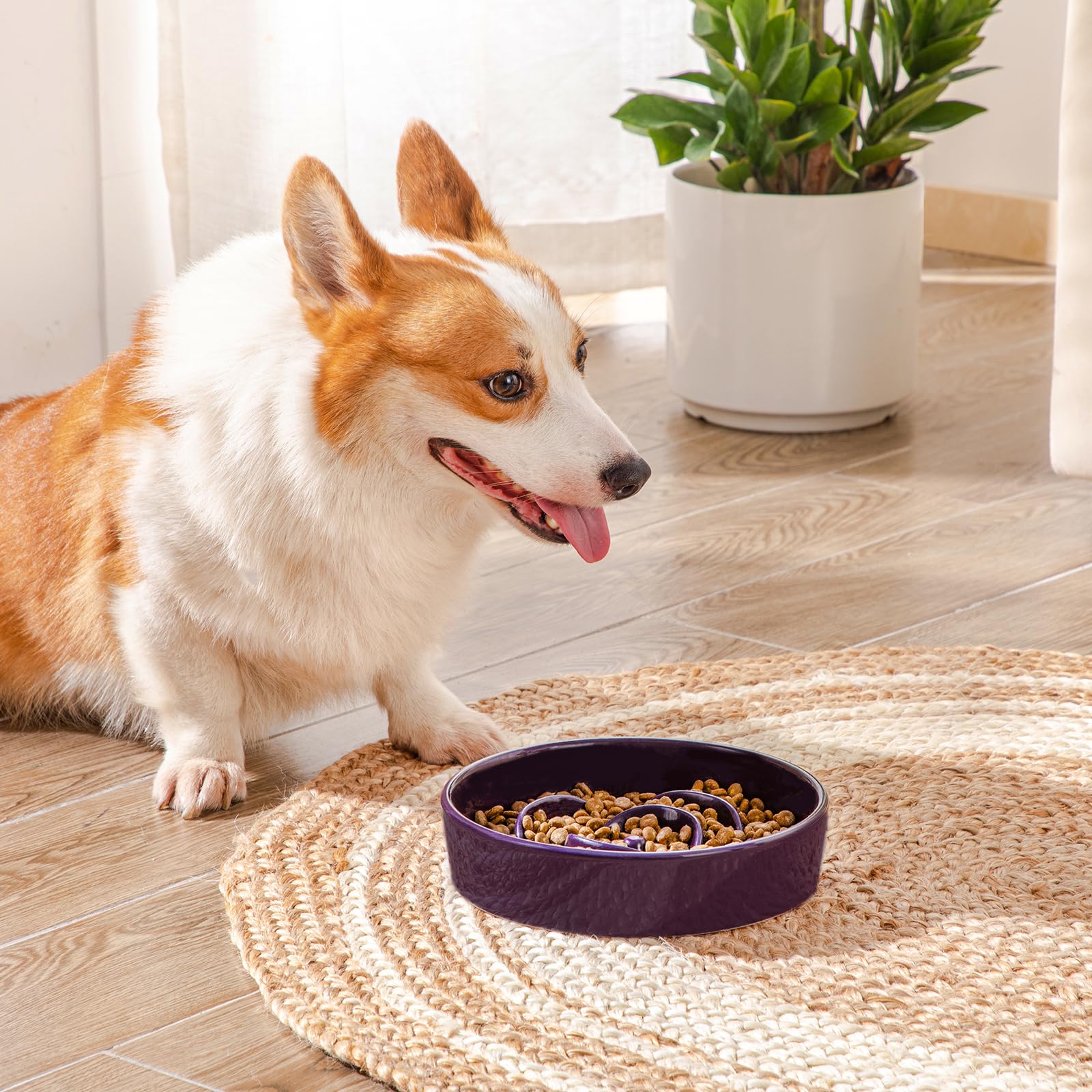 vancasso Slow Feeder Dog Bowl, 1.5 Cups Ceramic Slow Feeder for Medium Breed, Puzzle Maze Food Dog Bowl for Fast Eater, Dark Pur