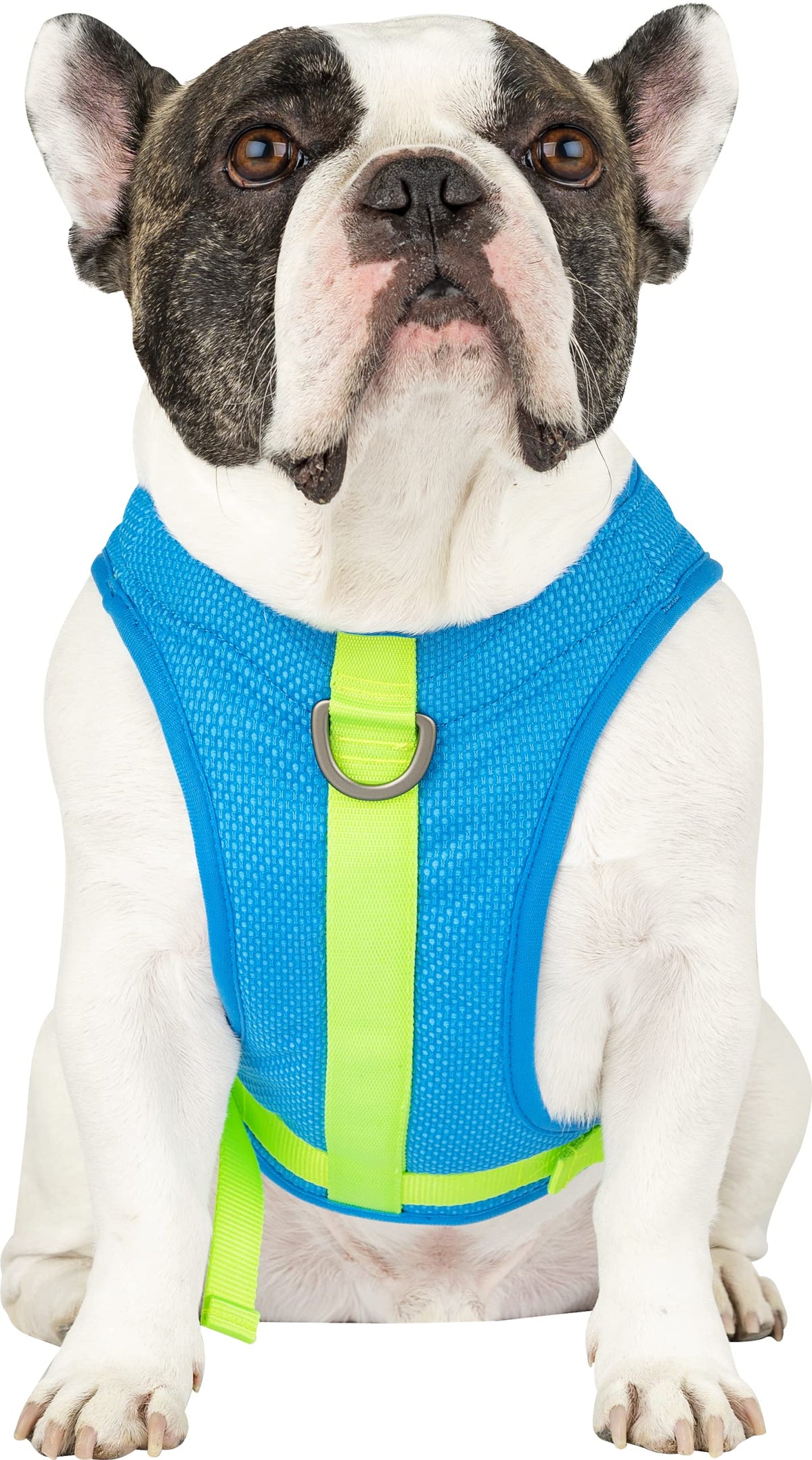 Canada Pooch Dog Cooling Harness - Evaporative Cooling Harness Vest For Dogs With Breathable Mesh Material & Reflective Lining, 