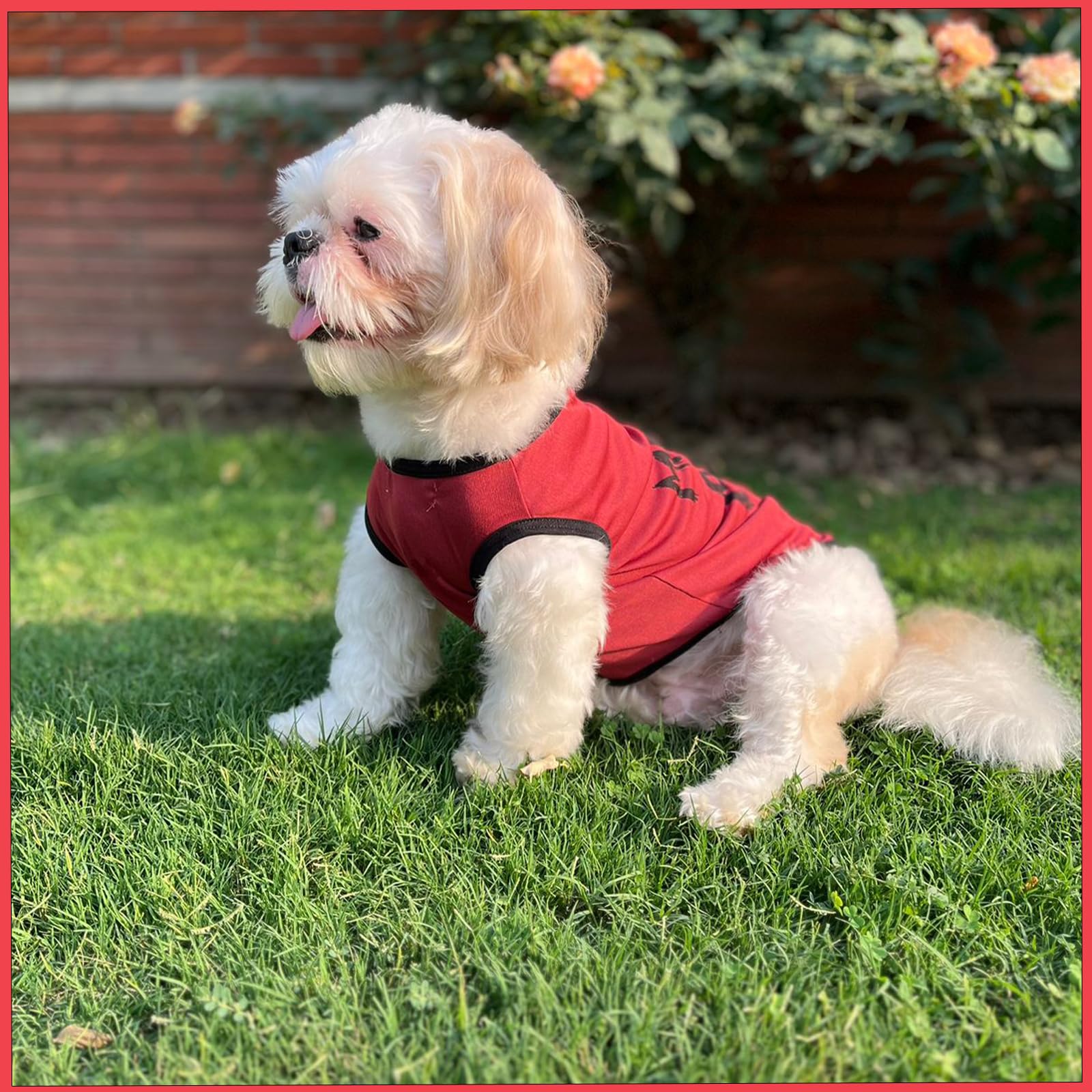 Lulala Dog Shirts With MamaS Boy Pattern Casual TShirt Summer Printed Soft Breathable Puppy Sweatshirt Cool Outfit Apparel For