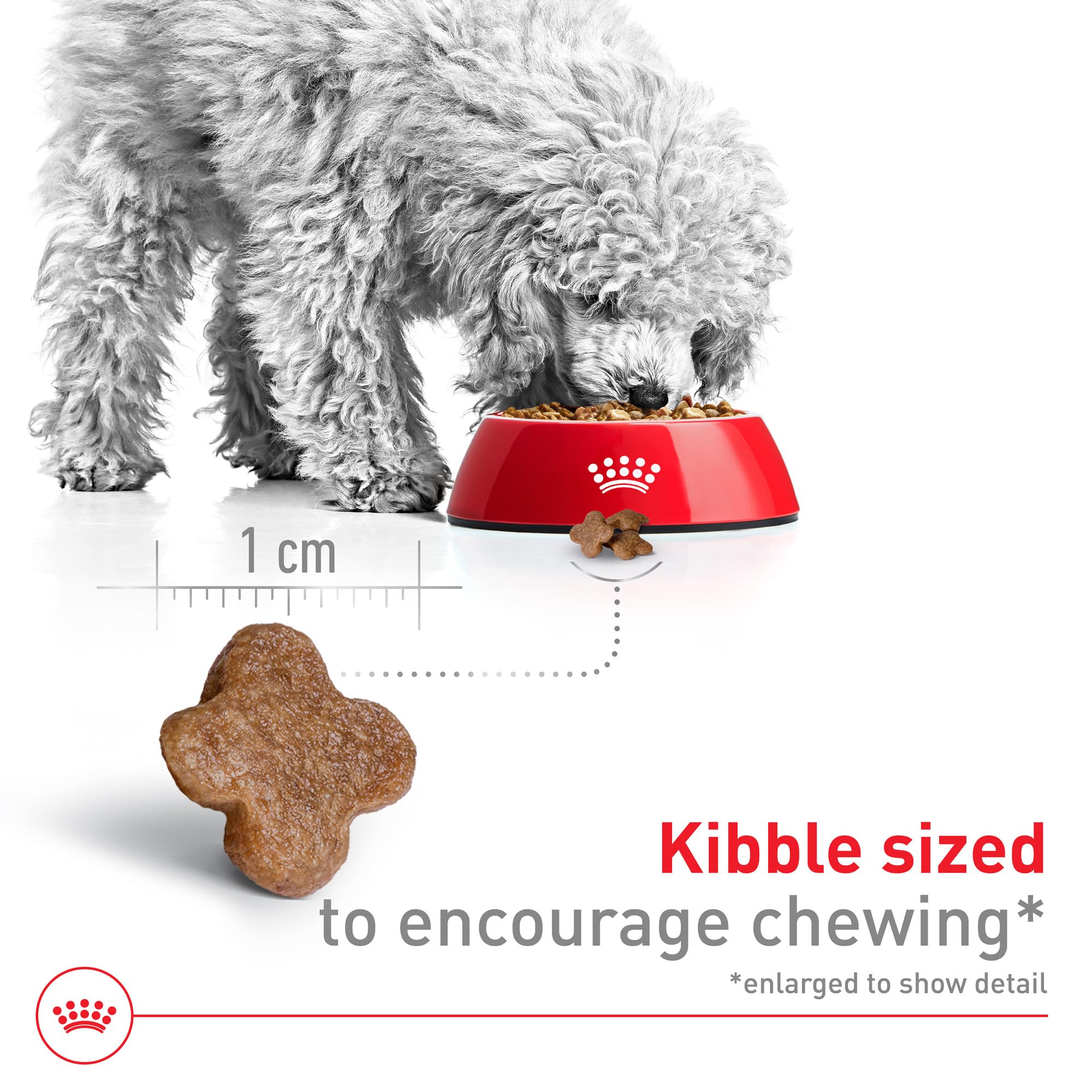 Royal Canin Size Health Nutrition Small Adult 8+ Dry Dog Food, 13 lb bag