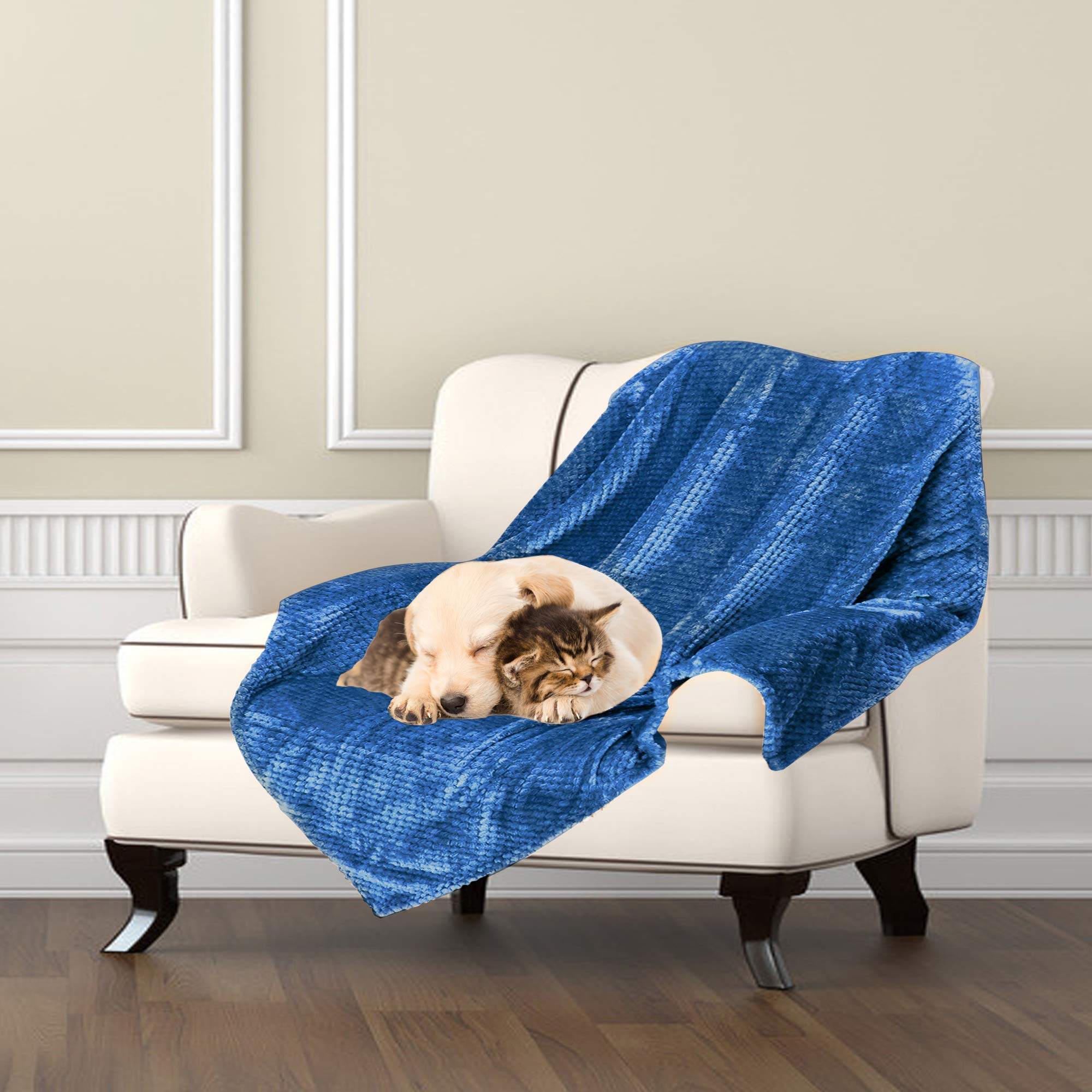 Msicyness Dog Blanket,Soft Fuzzy Blankets for Puppy, Small,Medium,Large,XLarge Premium Fluffy Blankets Plush Fleece Throw Dog B