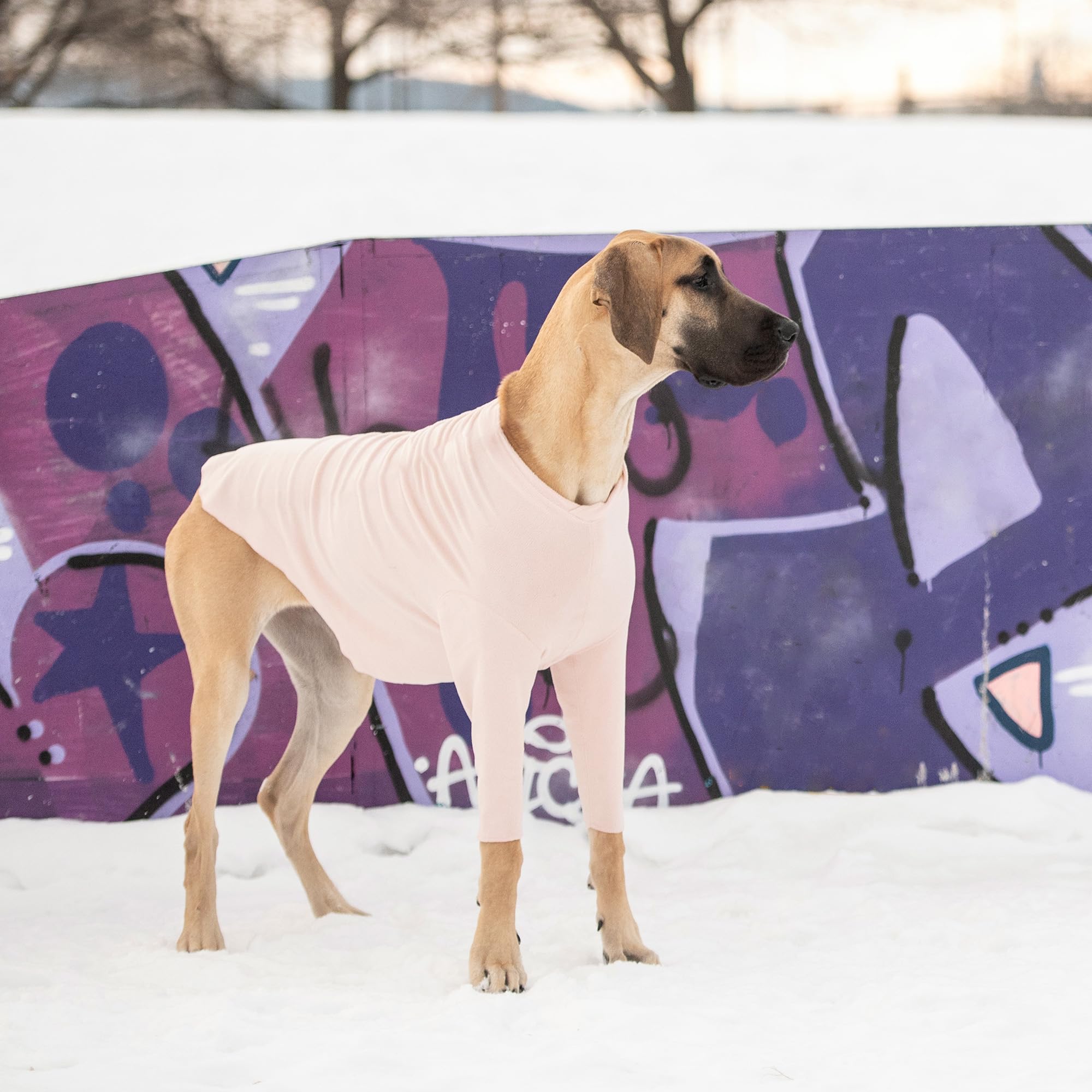 Gf Pet Gondola Base Layer For Dogs | Micro Polar Fleece Dog Bodysuit | Warm 4-Way Stretch Onesie | Full Body Coverage, Protection From Cold | Pajamas & Winterwear - Pink - Large