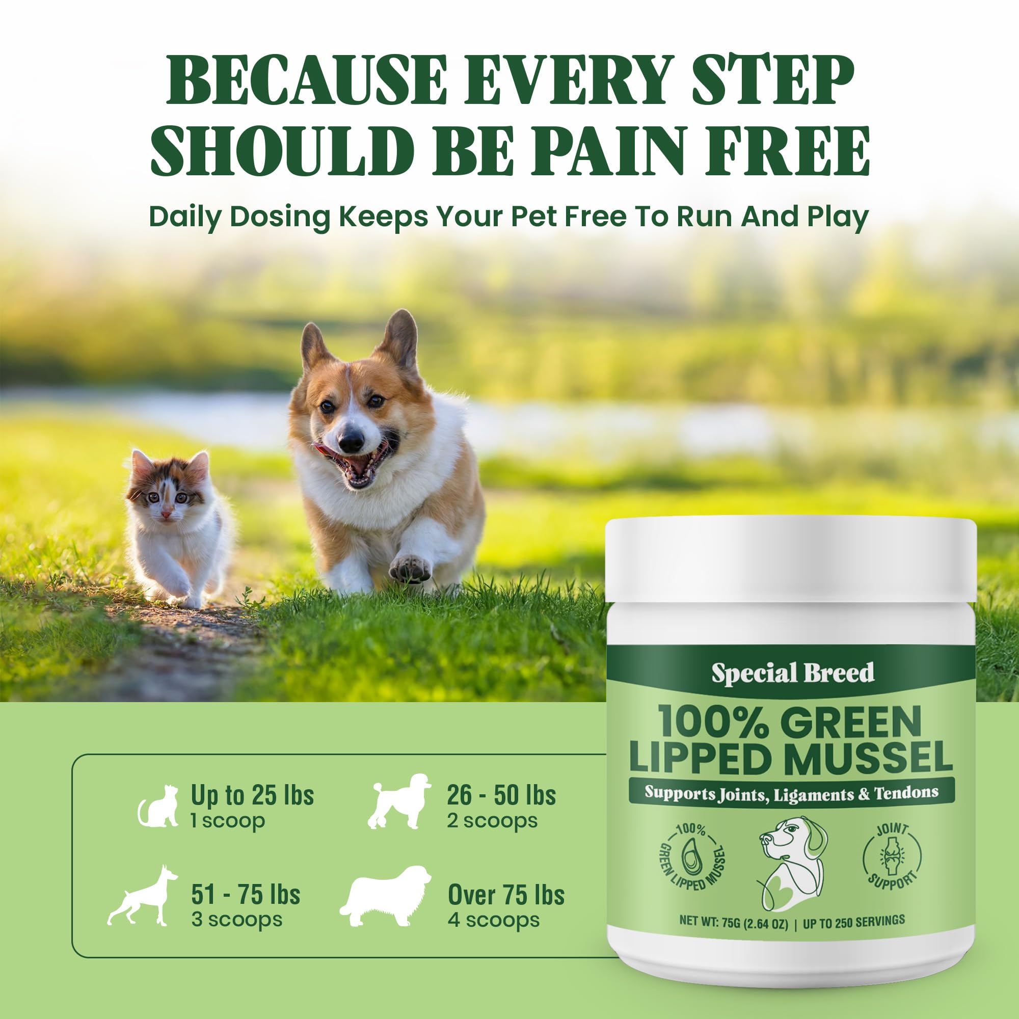 Green Lipped Mussel Powder for Dogs & Cats - 100% New Zealand Green Lipped Mussels - Natural Hip & Joint Supplement for Joints,