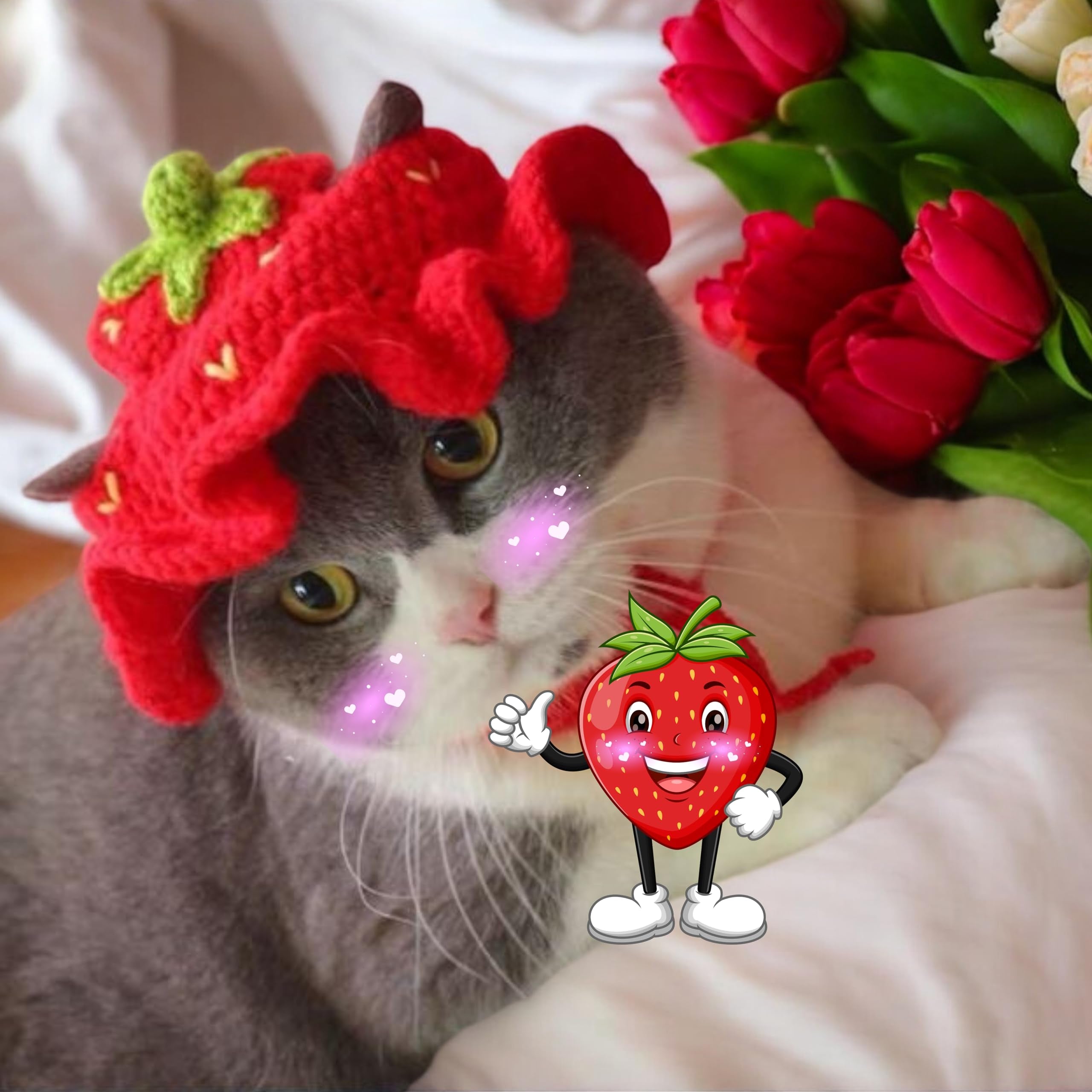 Cute Rabbit Knitted Hat and Collar Set, Bunny Hats and Necklace for Rabbits Guinea Pig Small Dog Cat, Hats for Pet Rabbits, Pet