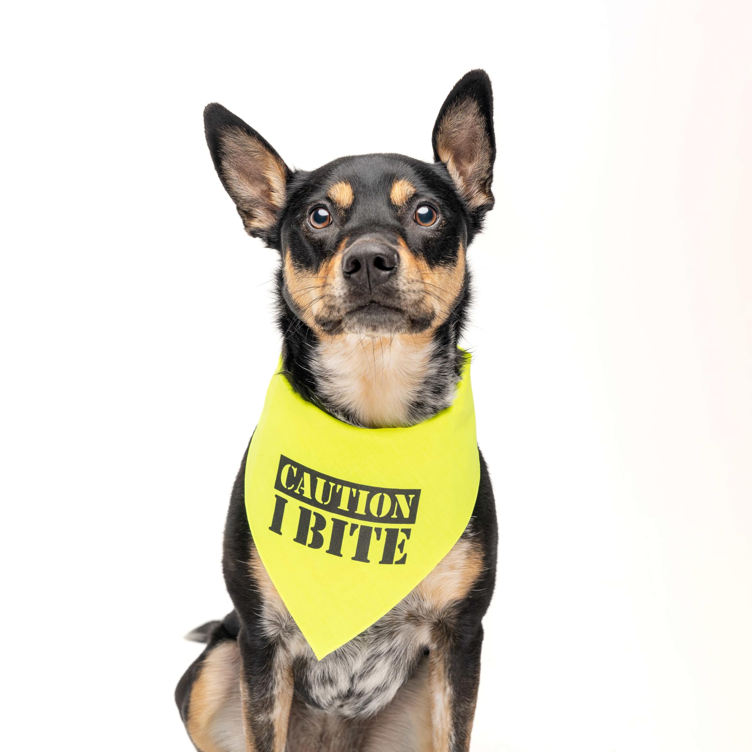 Caution I Bite Dog Bandana (Neonyellow, Os 836)