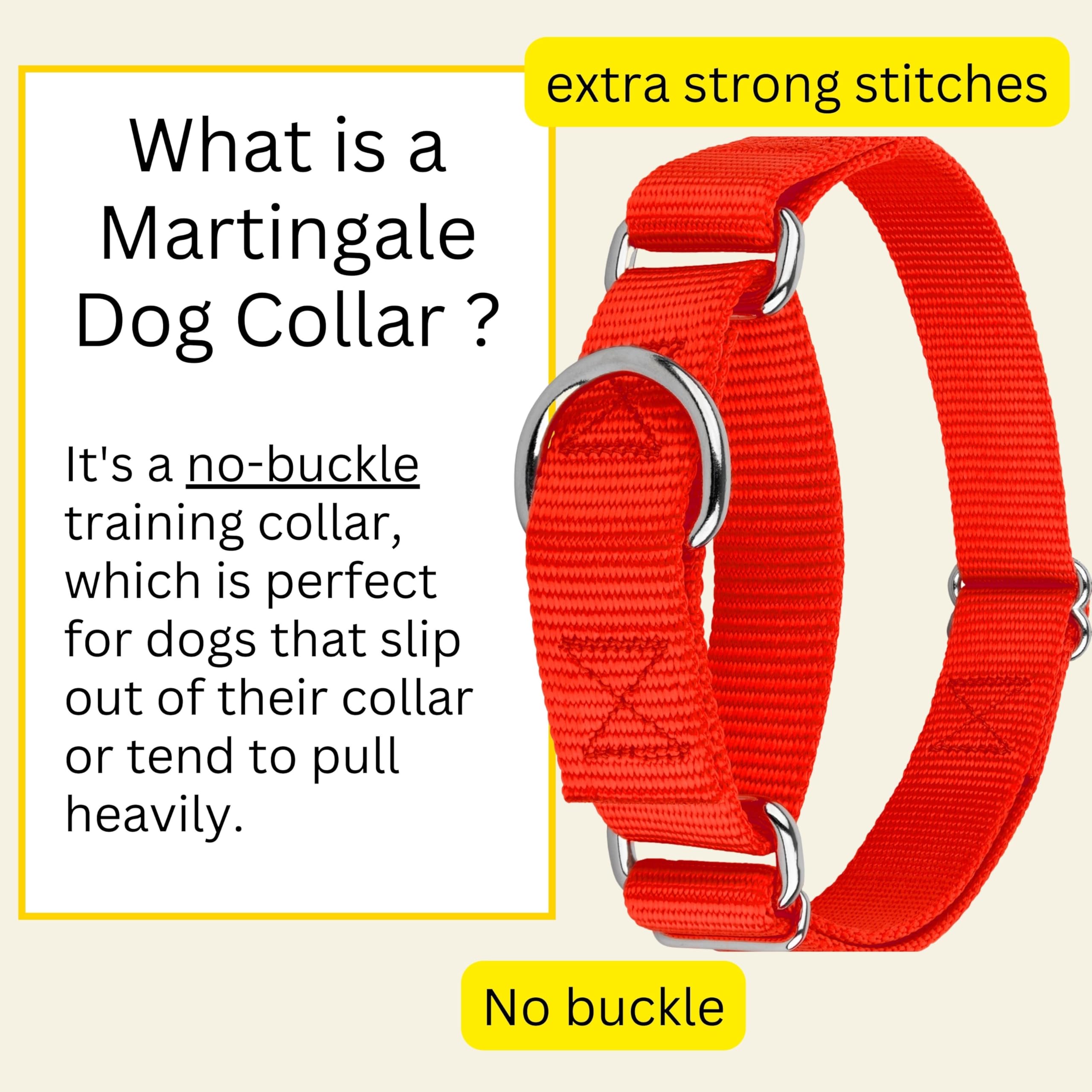 Country Brook Design - Hot Orange Martingale Heavy Duty Nylon Dog Collar - 21 Vibrant Color Options (1 Inch Width, Medium)