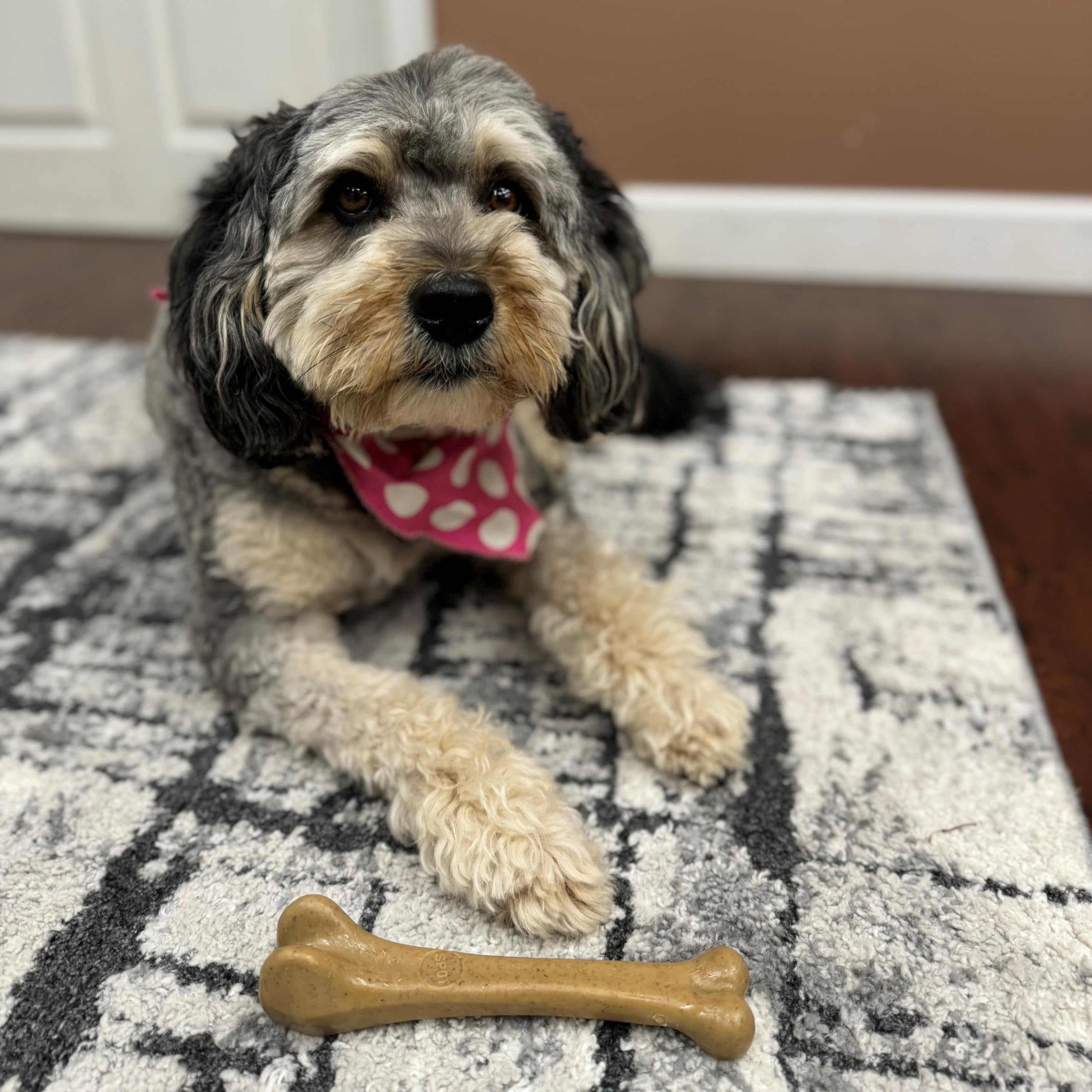 Spot Ethical Pets 54318 Bambone Bone Chicken Pet Chew Toys