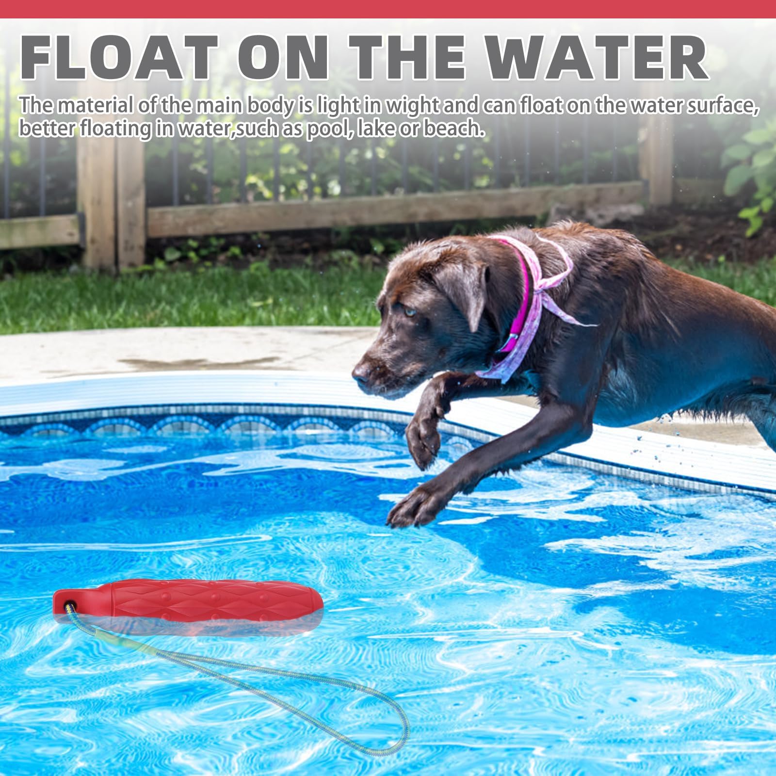Kooltail Floating Dog Pool Toys - 2 Pack Summer Bumper Doggie Toy For Water, Interactive Training Games Fetch & Chew Toys To Kee