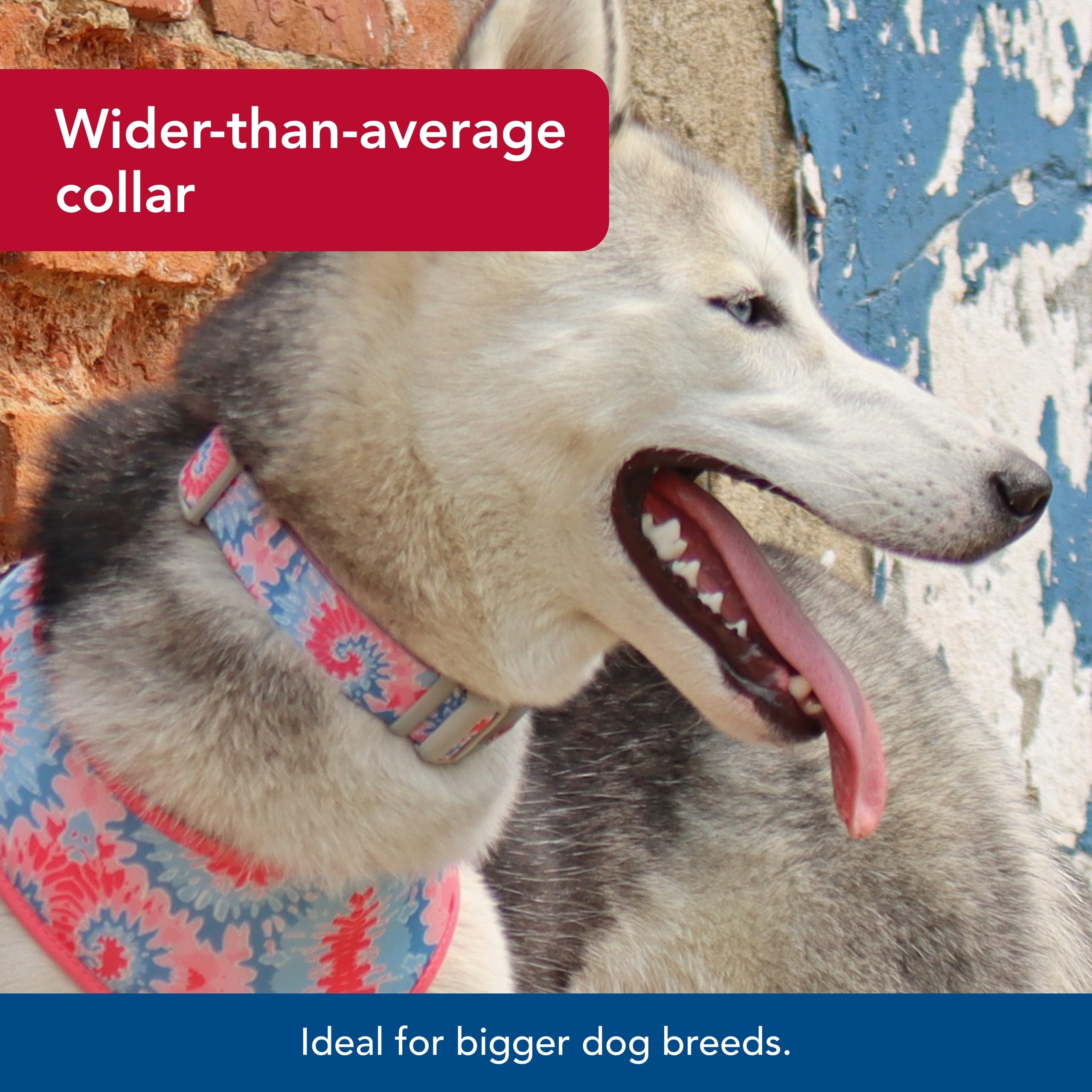 Coastal Pet Sublime Adjustable Dog Collar - Adjustable Plastic Buckle - Vibrant & Colorful Dog Collar With Fade-Resistant Patterns - Pink Tie Dye With Pink Arrows, Small - 3/4' X 8'-12'