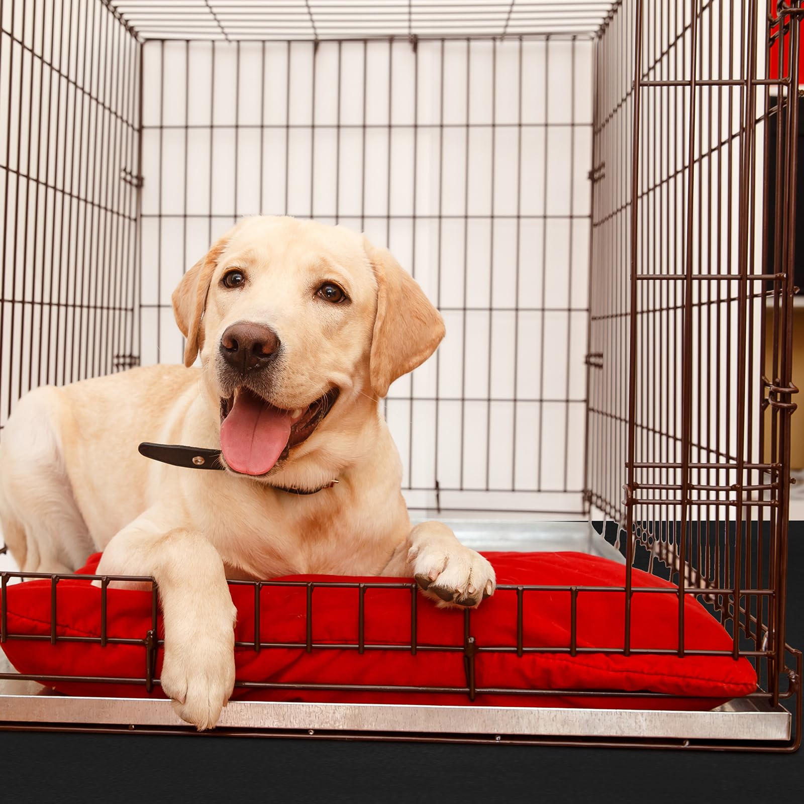 Drydiet Pvc Pet Crate Floor Protection Mat 24'' X 38'' Xxl Washable Floor Covering Reusable Waterproof Non Slip Rug Whelping Pad